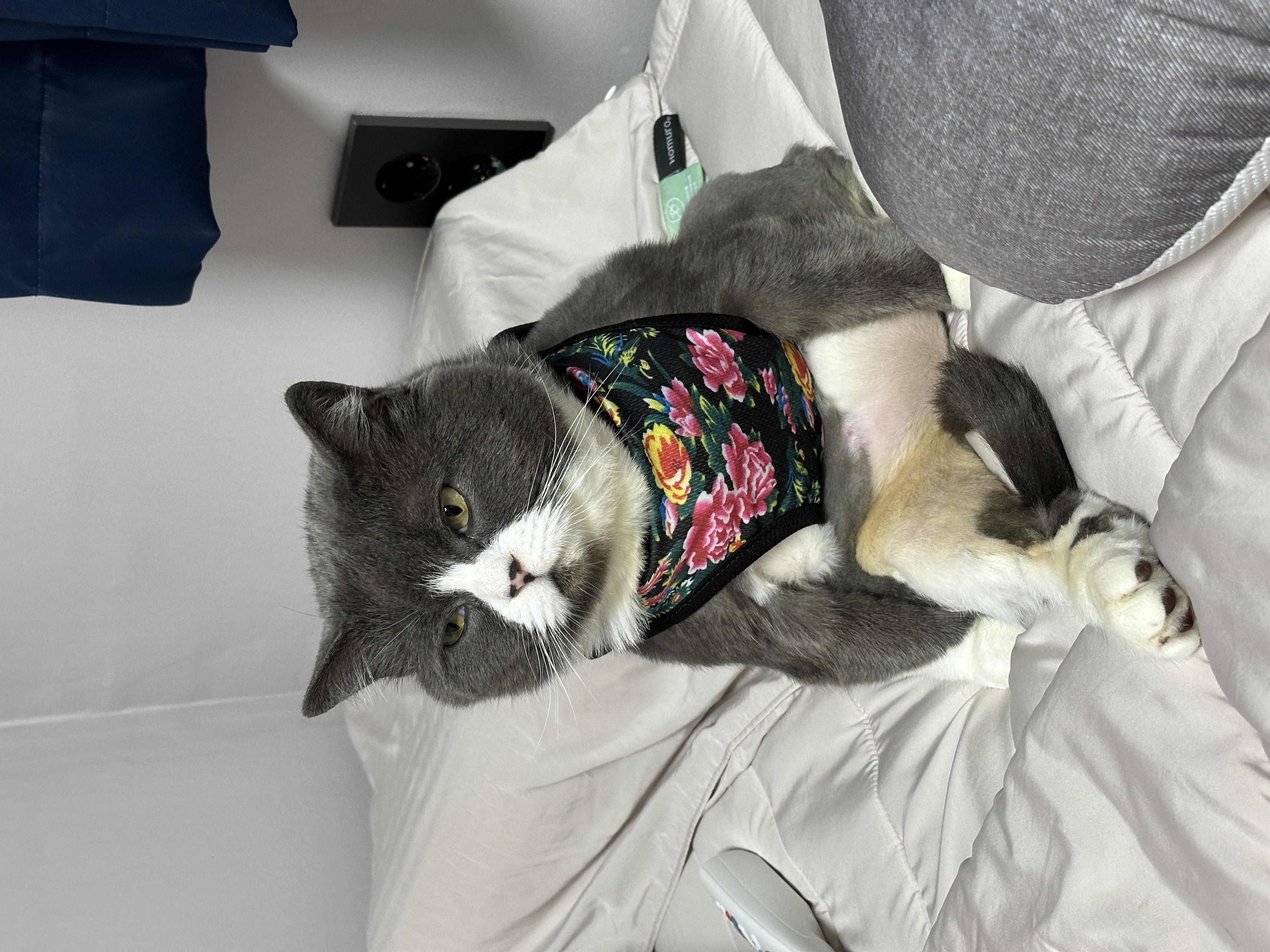 이주몽 (건우) 정식입양 3개월차