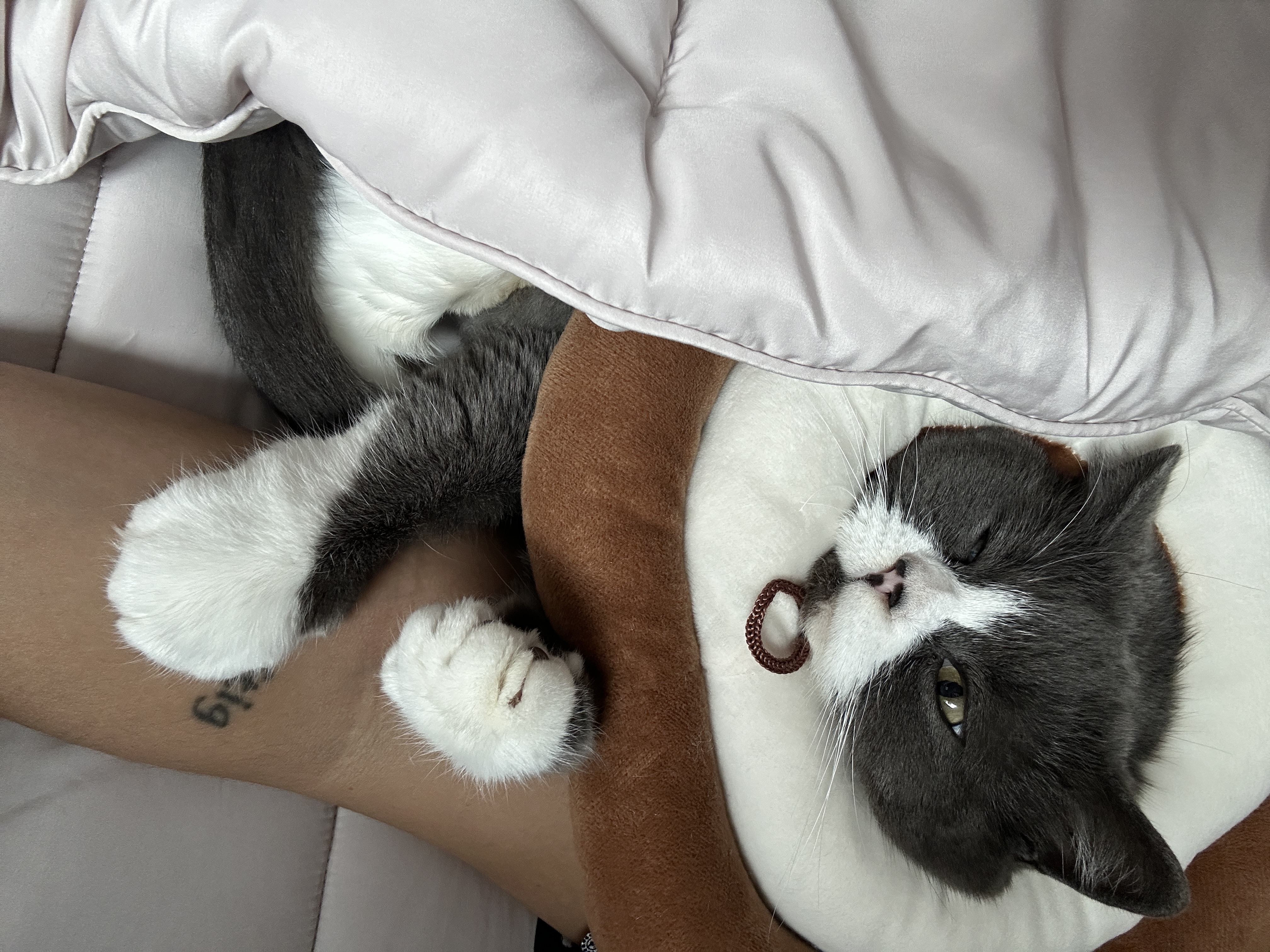 이주몽 (건우) 정식입양 3개월차