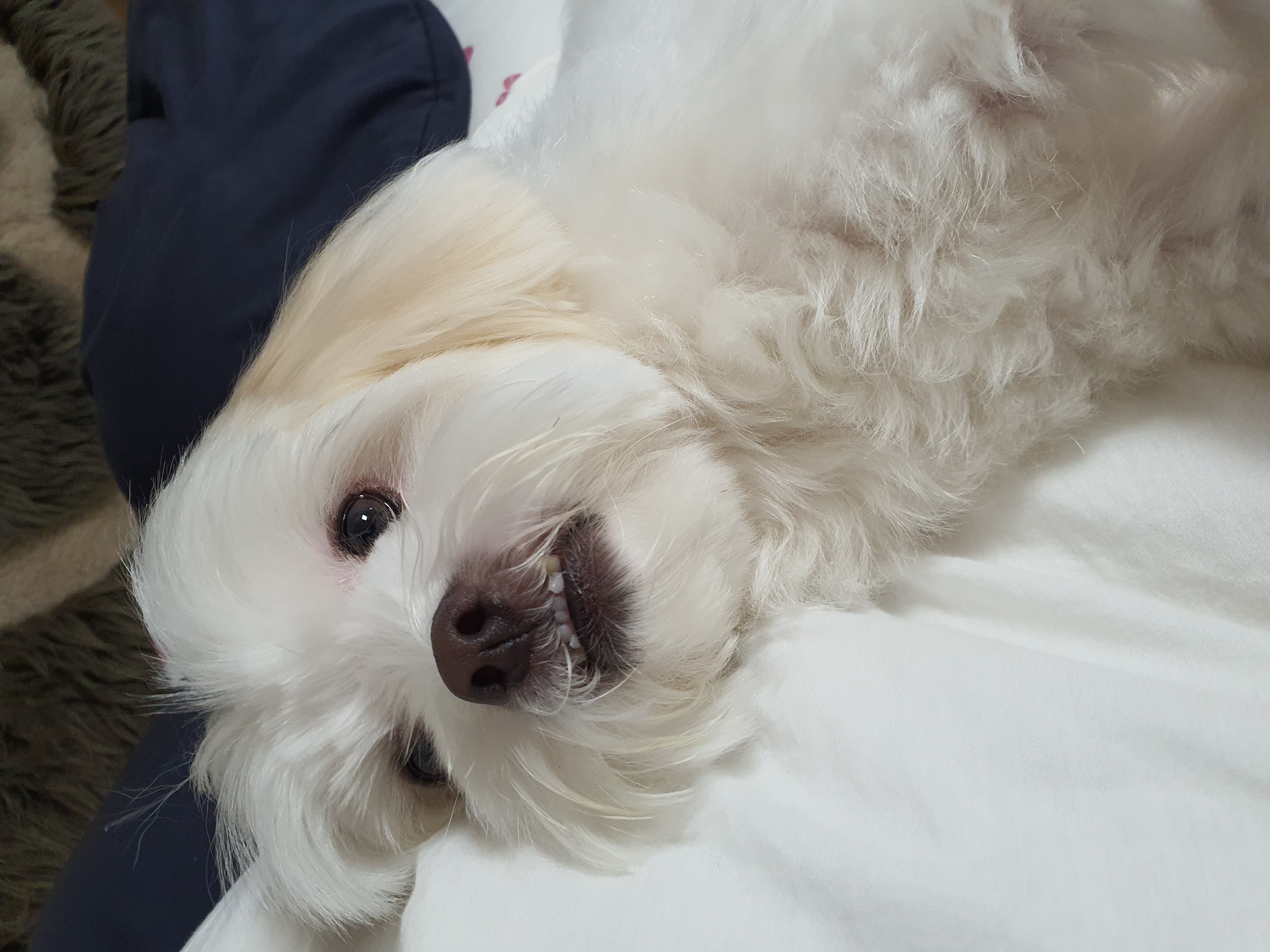 아산 아원이 가을이 2년차 소식 전합니다