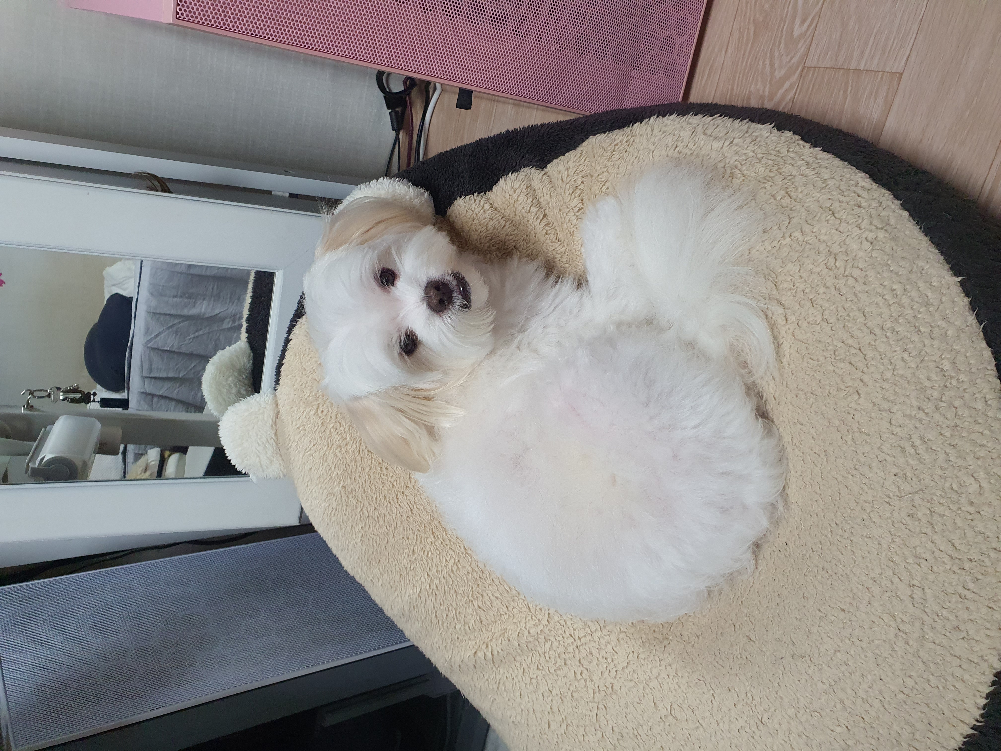 아산 아원이 가을이 2년차 소식 전합니다