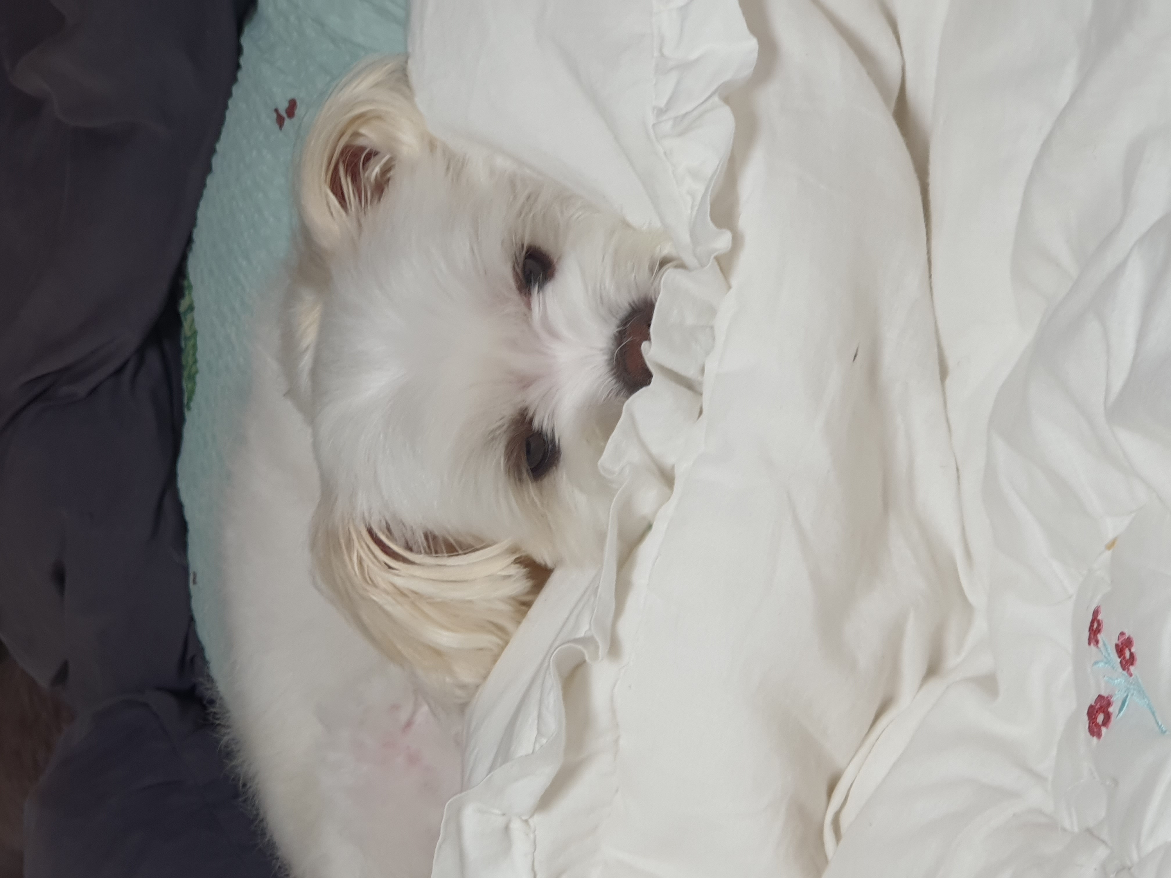 아산 아원이 가을이 2년차 소식 전합니다