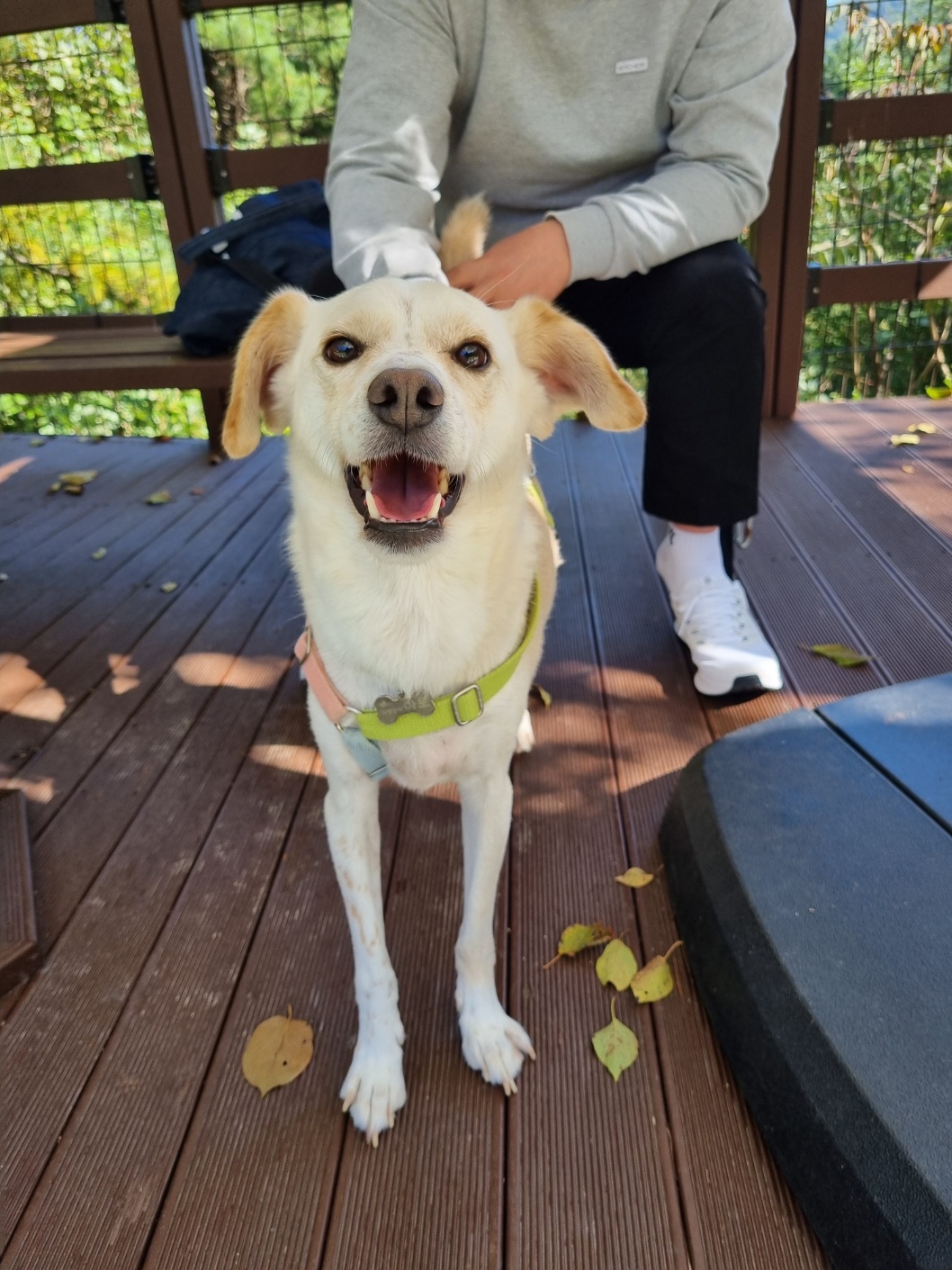 구 멍구 현 아토 4년차♡