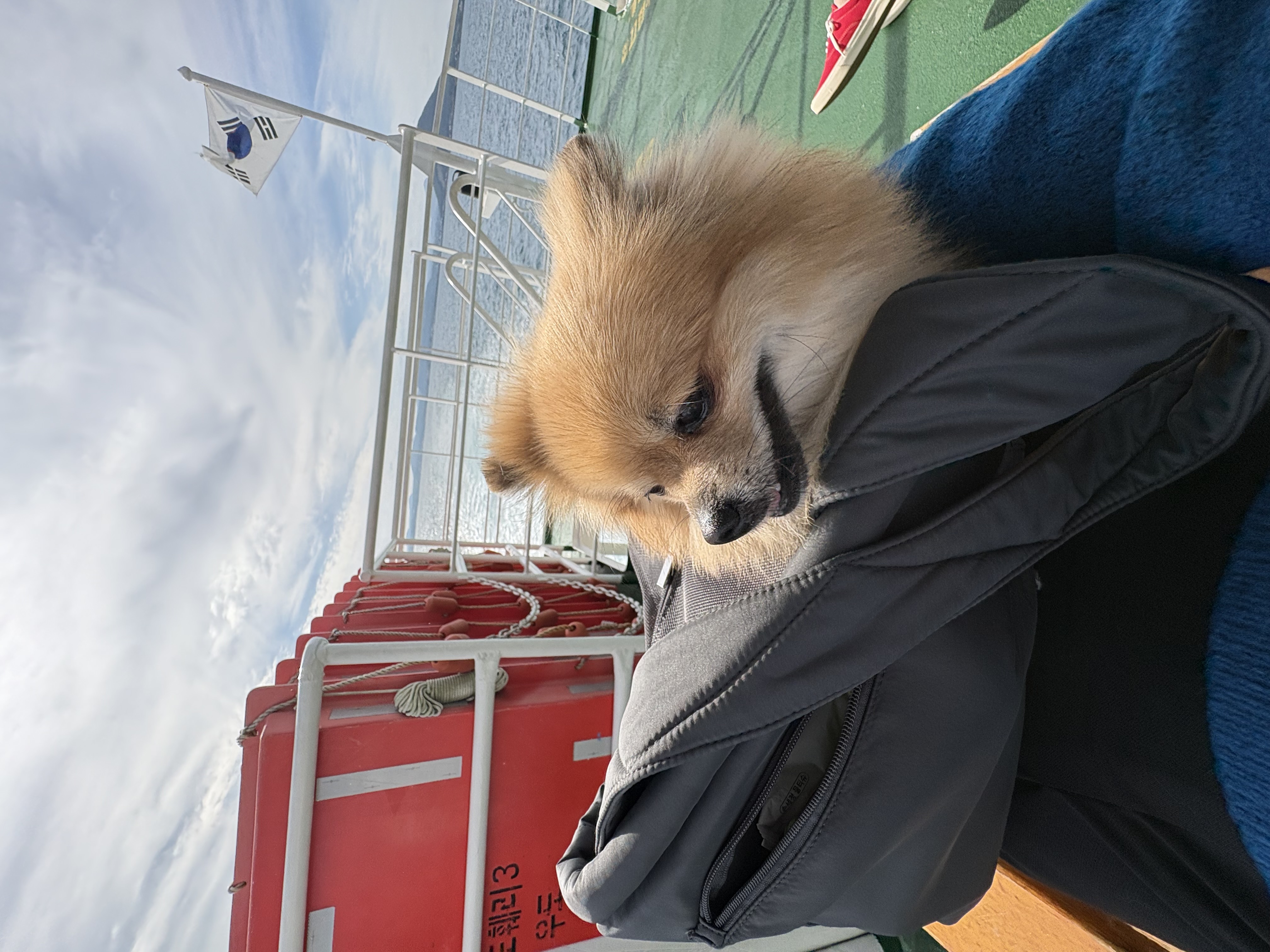 짜장이(곤지암-송일)와 제주여행