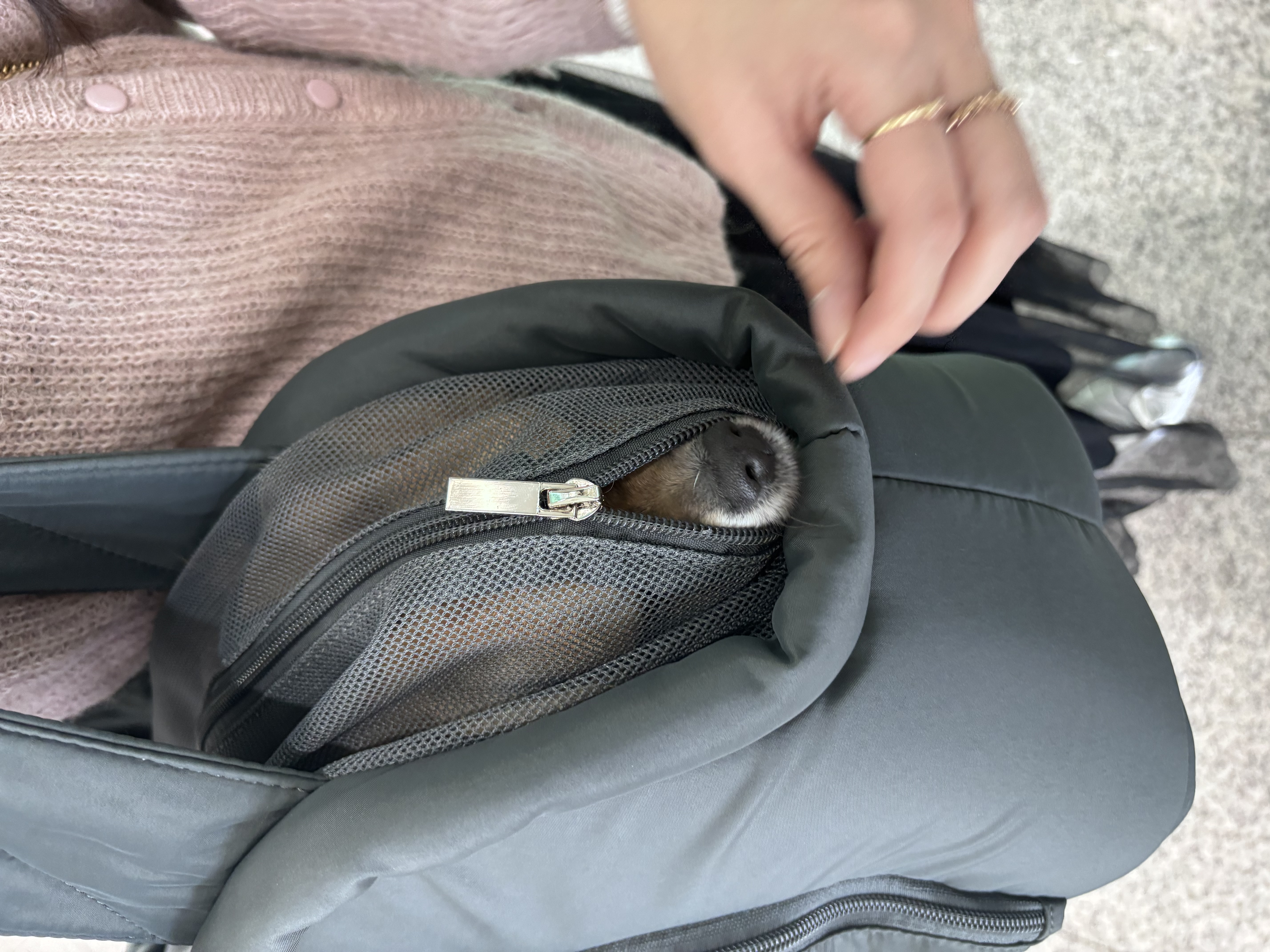 짜장이(곤지암-송일)와 제주여행