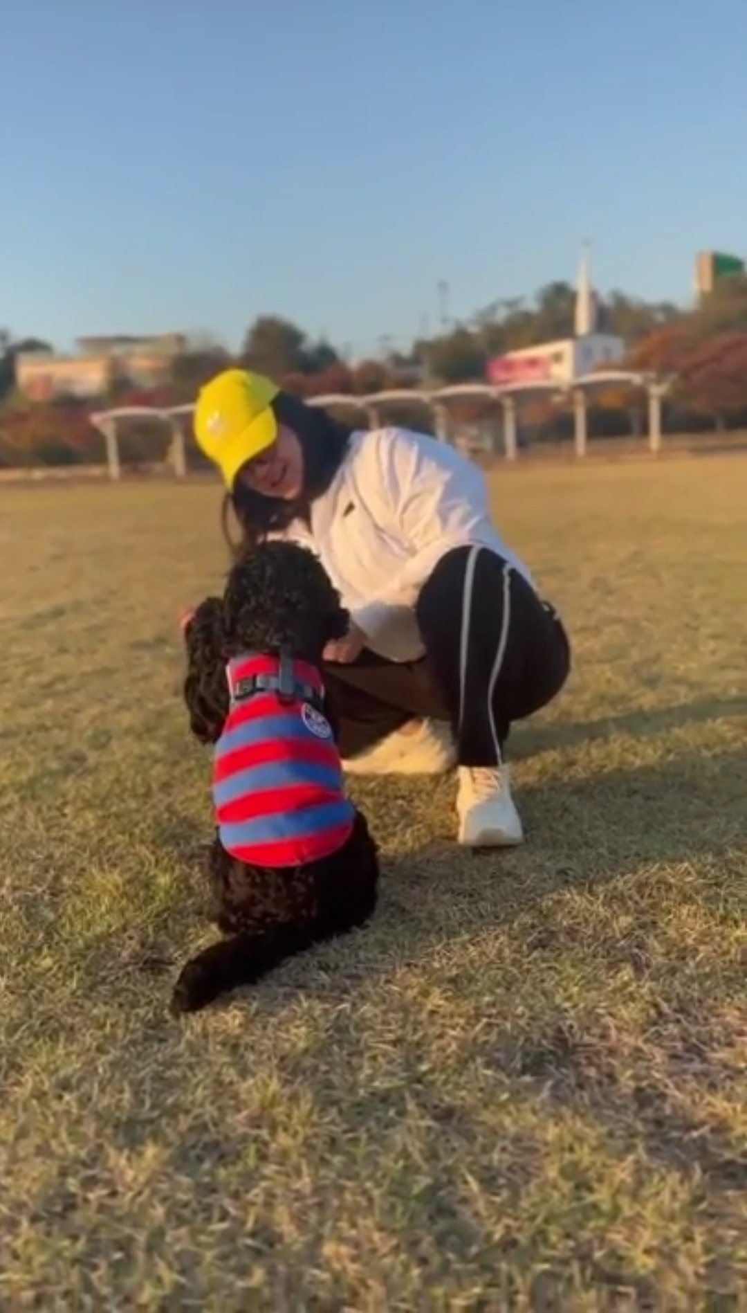 임시보호 1달차 - 치치(쿠스코)