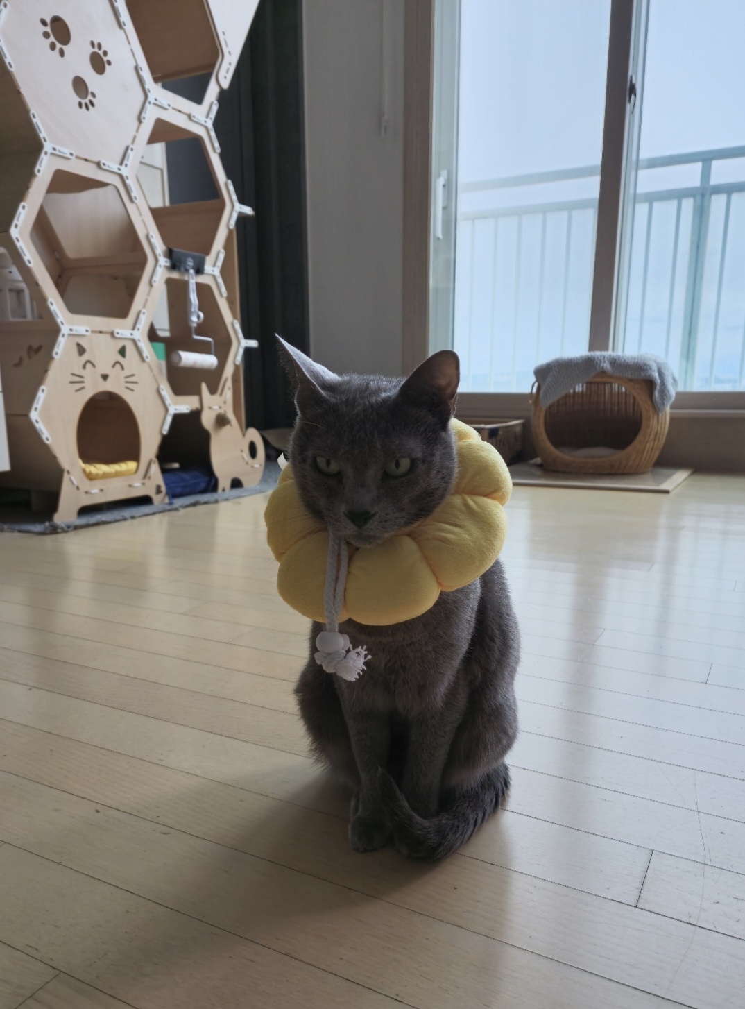 사랑하는 밍키(러블이)와 함께한 날들이 벌써 3년이 되었네요.