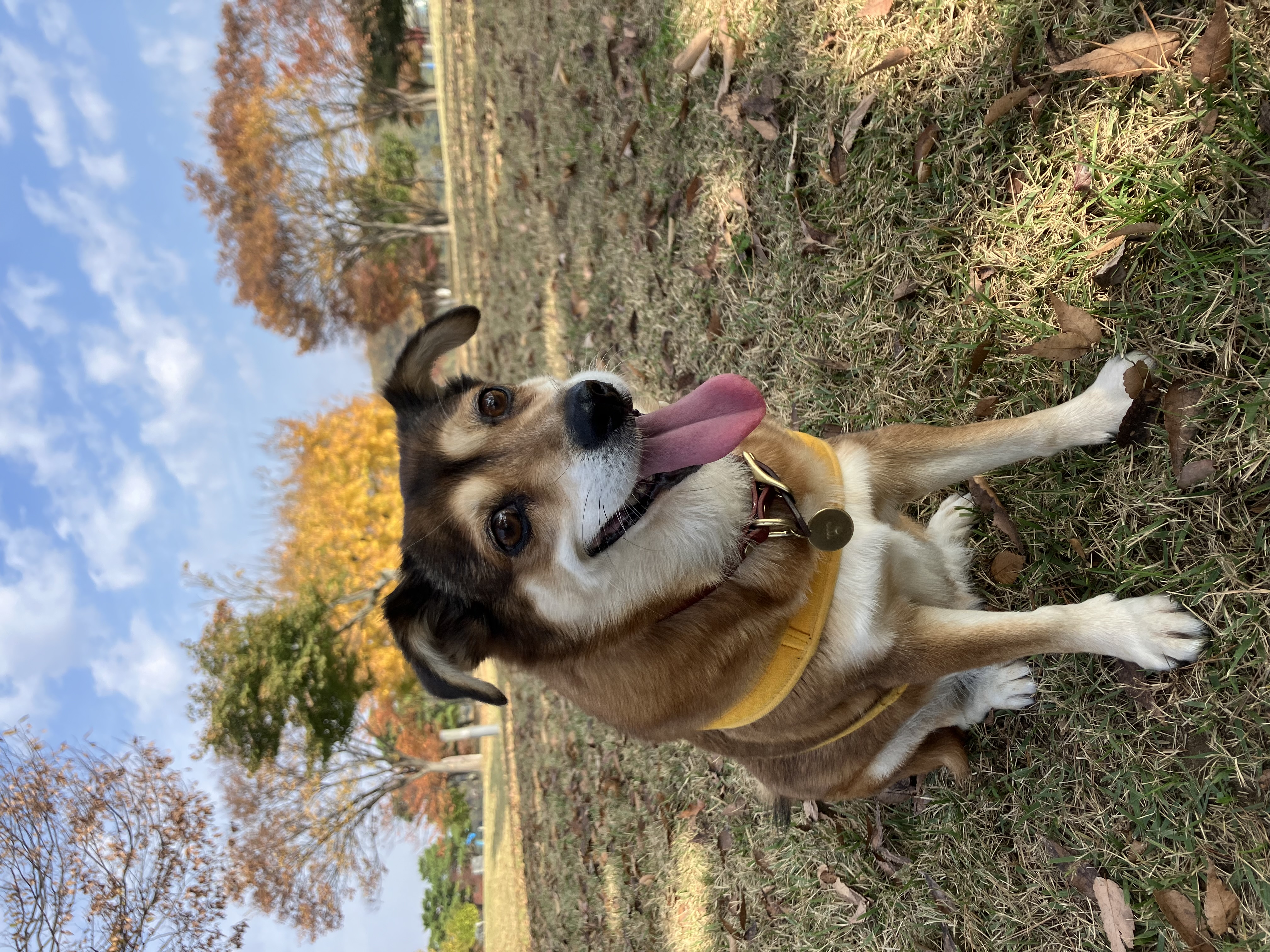 제니 였던 보리와 벌써 4년째