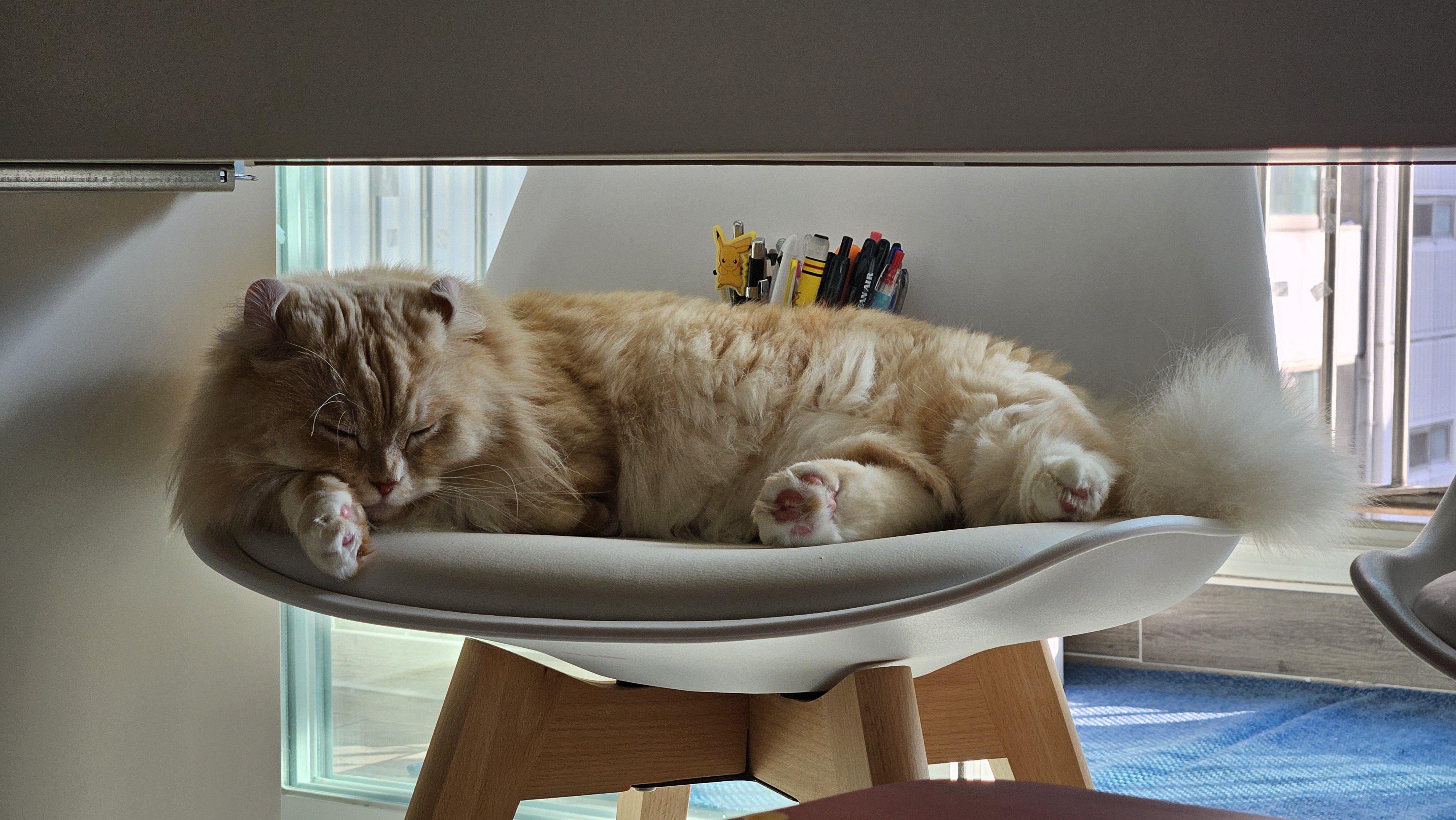 르네와 함께한 1년