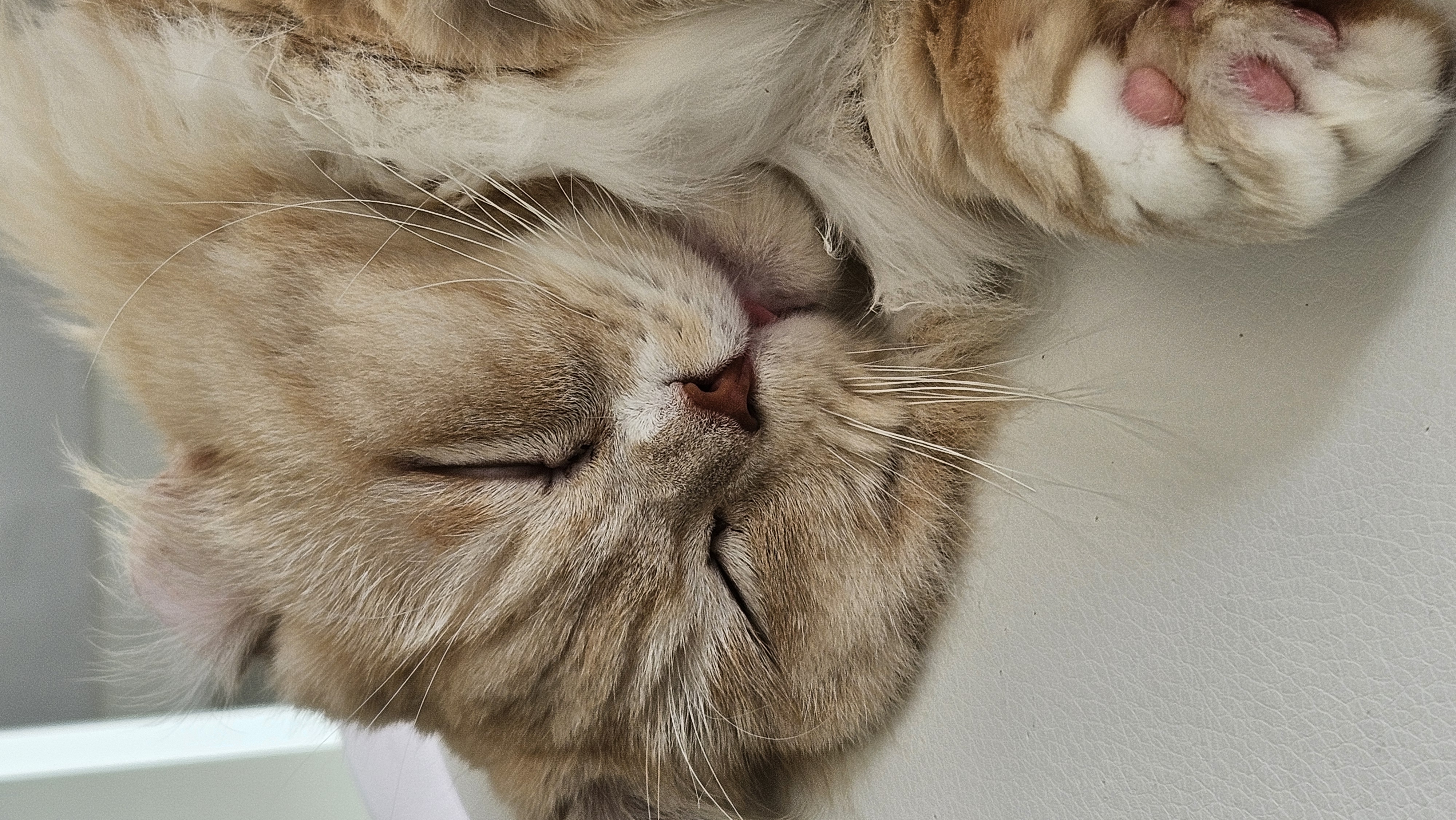 르네와 함께한 1년