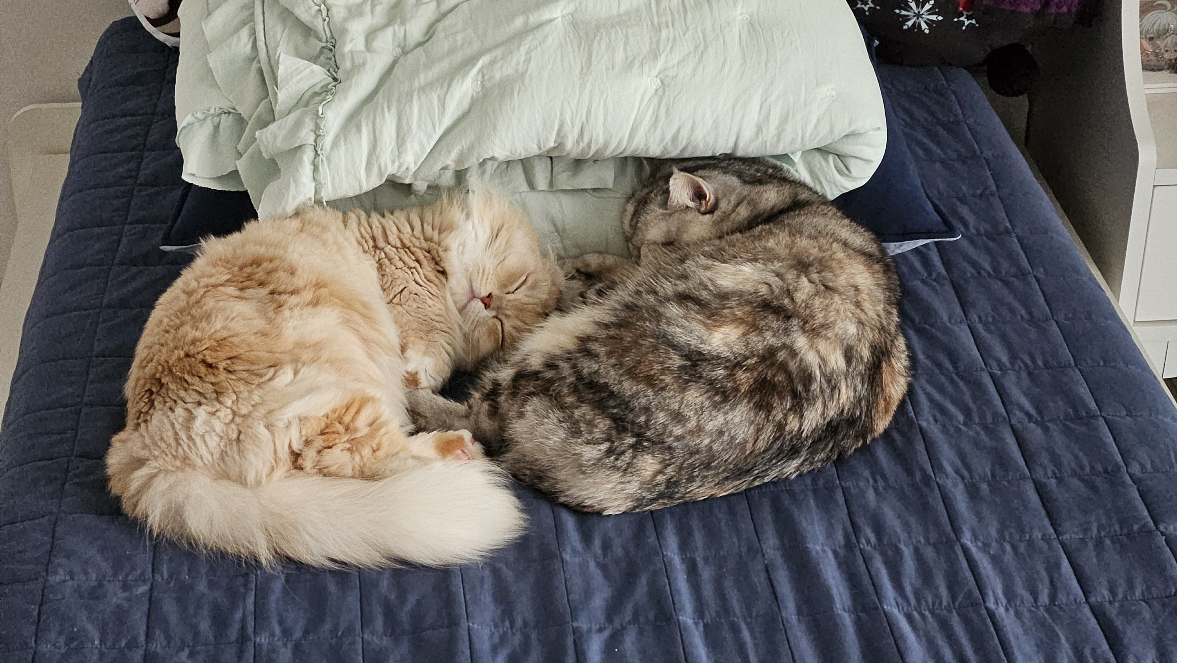 르네와 함께한 1년