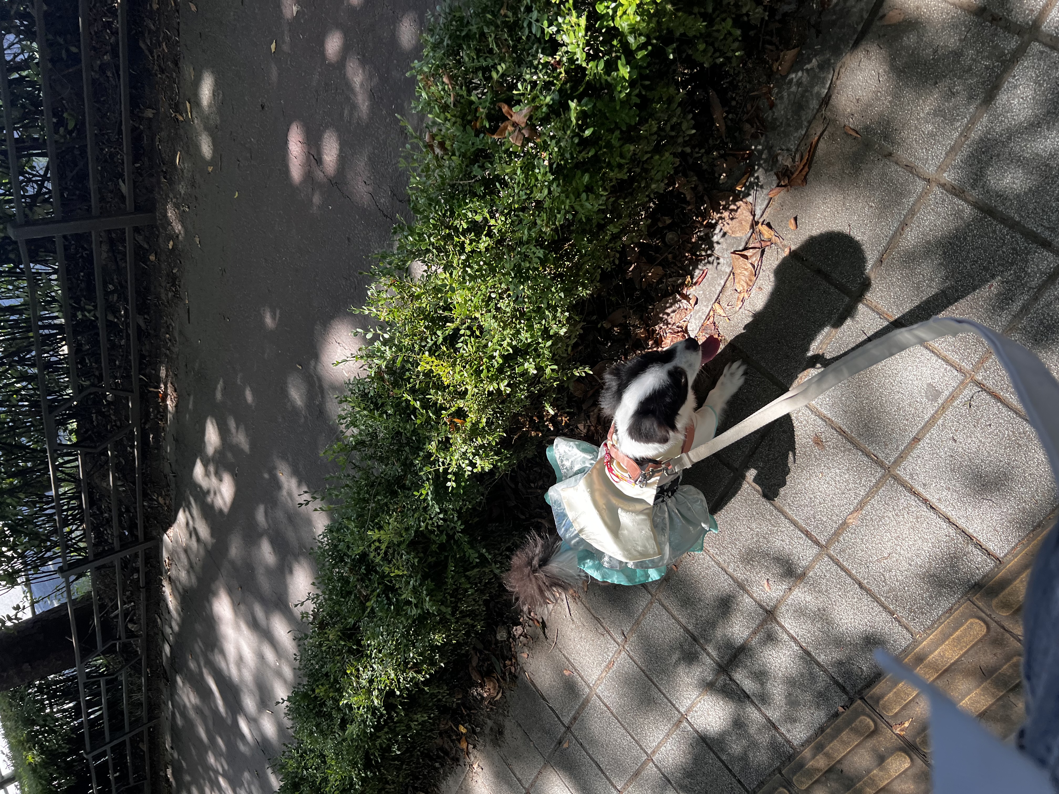 시유(구 모네) 잘 지내요