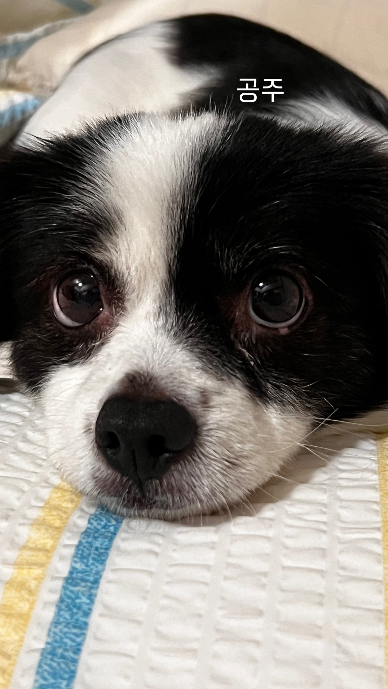 시유(구 모네) 잘 지내요