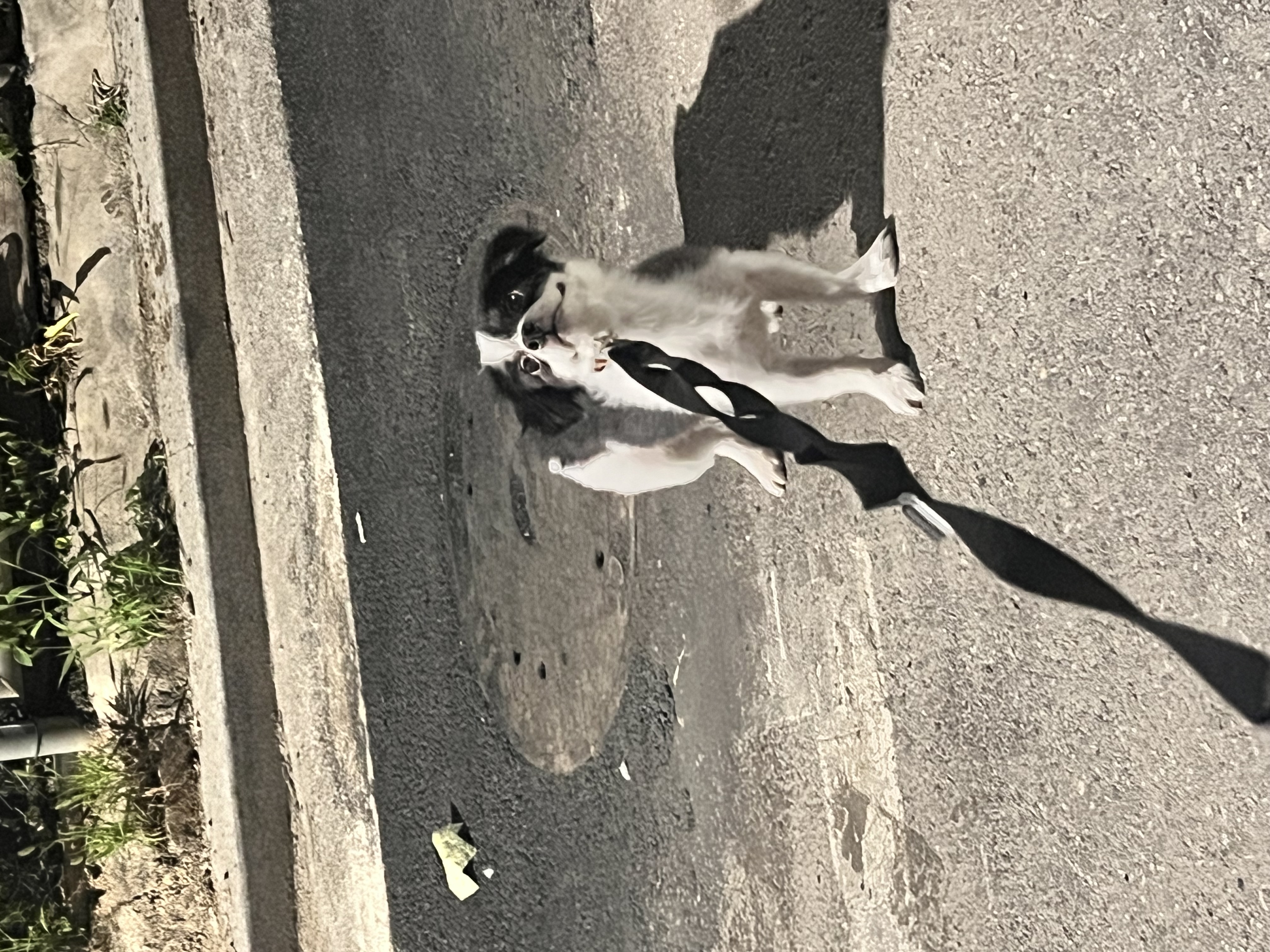 시유(구 모네) 잘 지내요