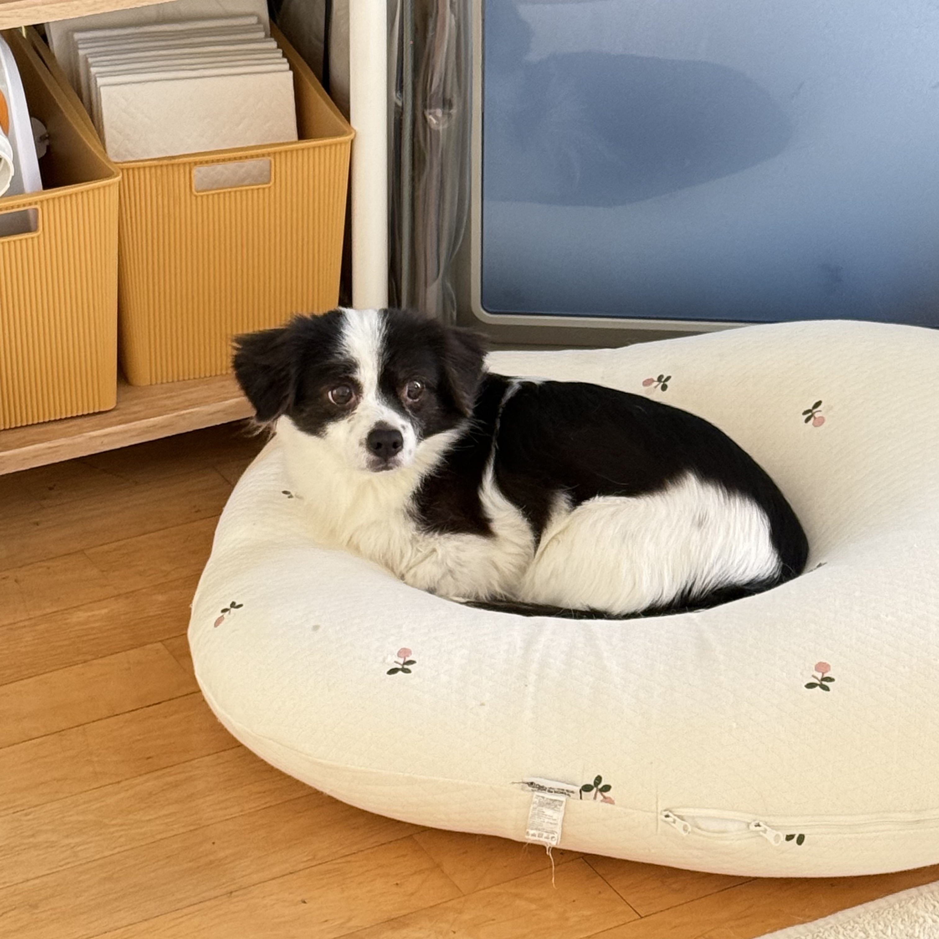 시유(구 모네) 잘 지내요