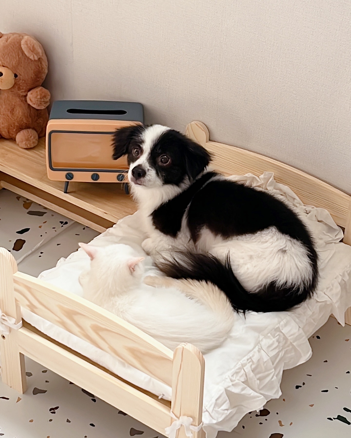 시유(구 모네) 잘 지내요