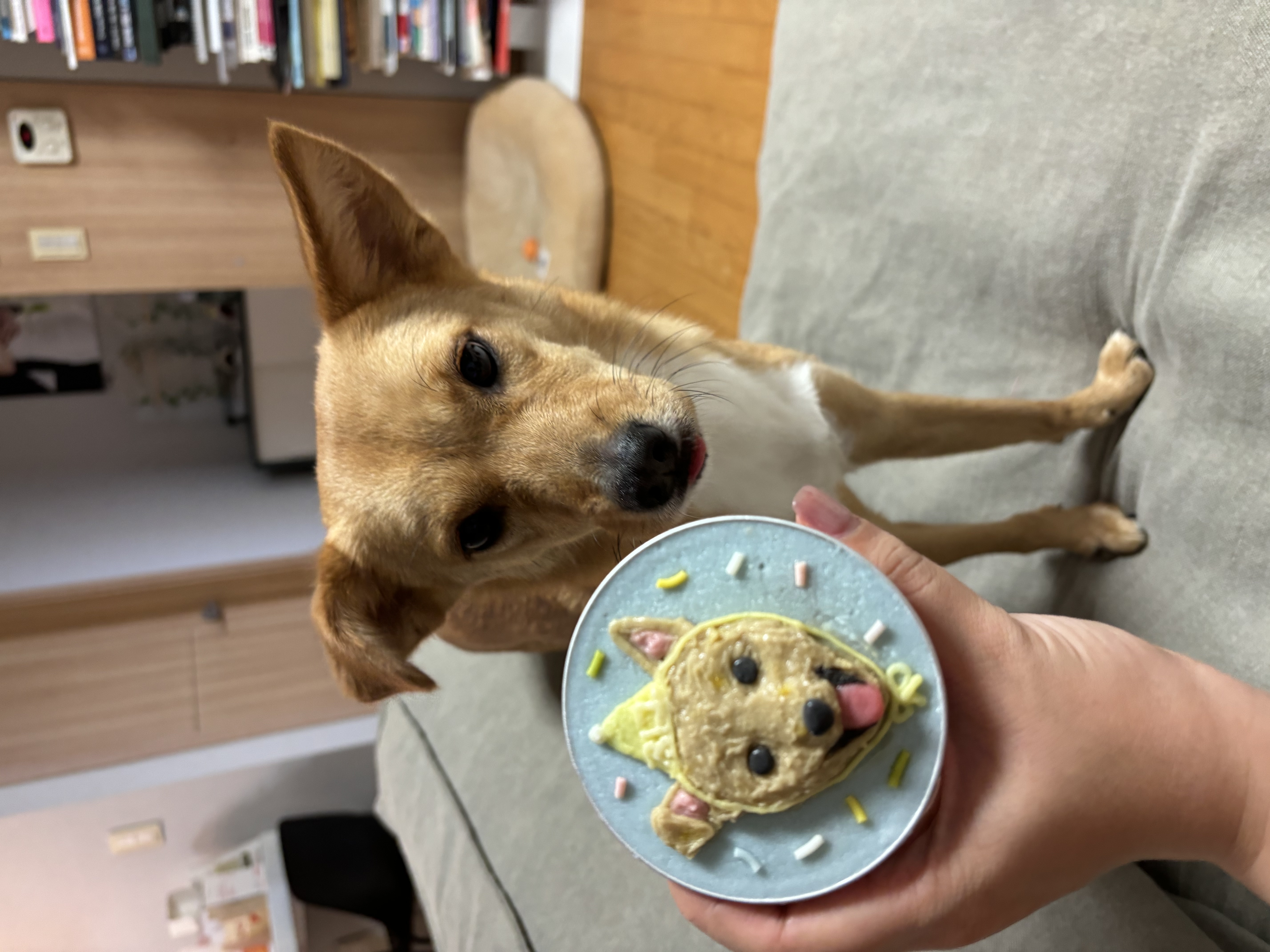 찌그(깜빛이) 1년 후기입니다