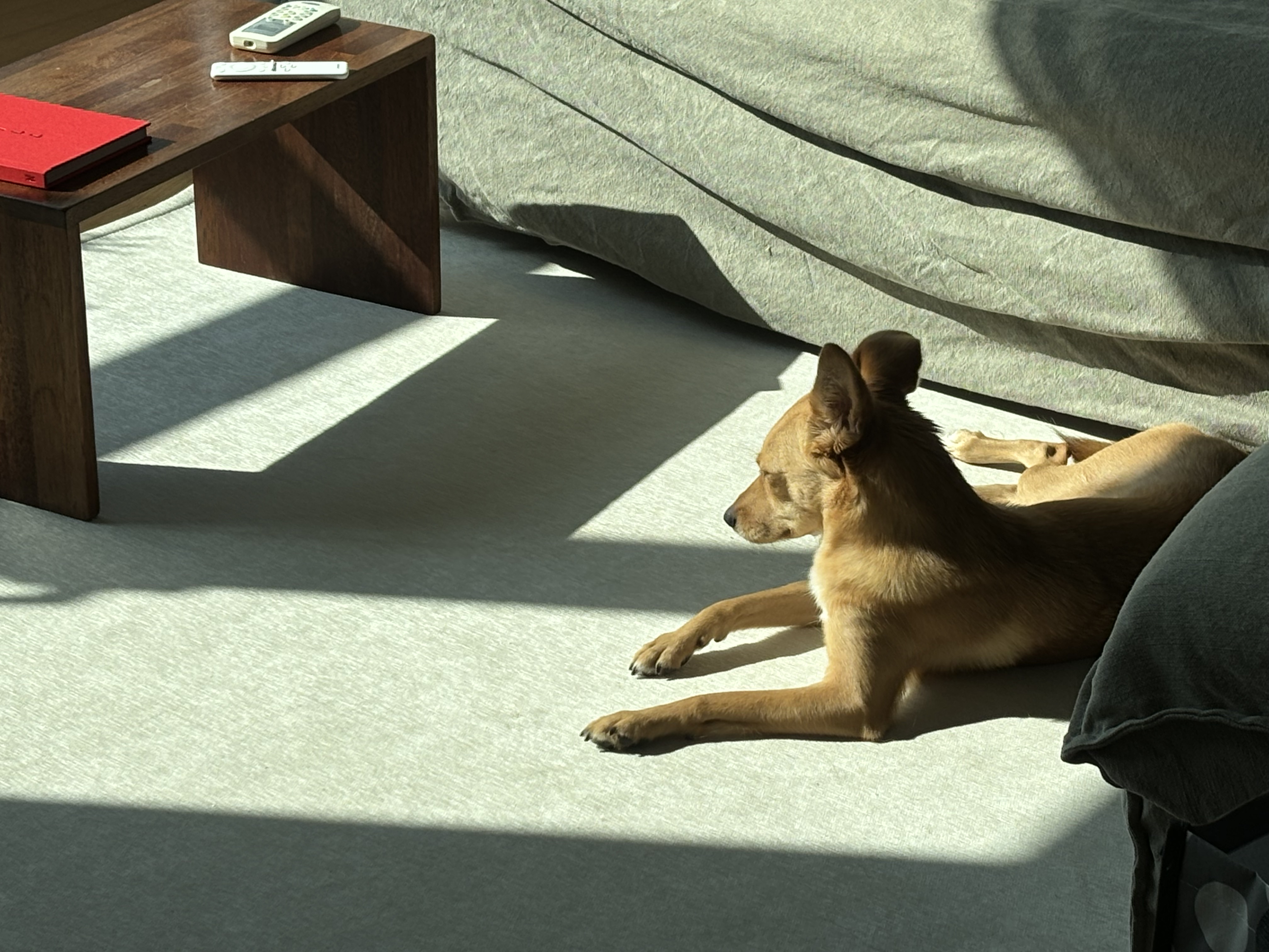 찌그(깜빛이) 1년 후기입니다