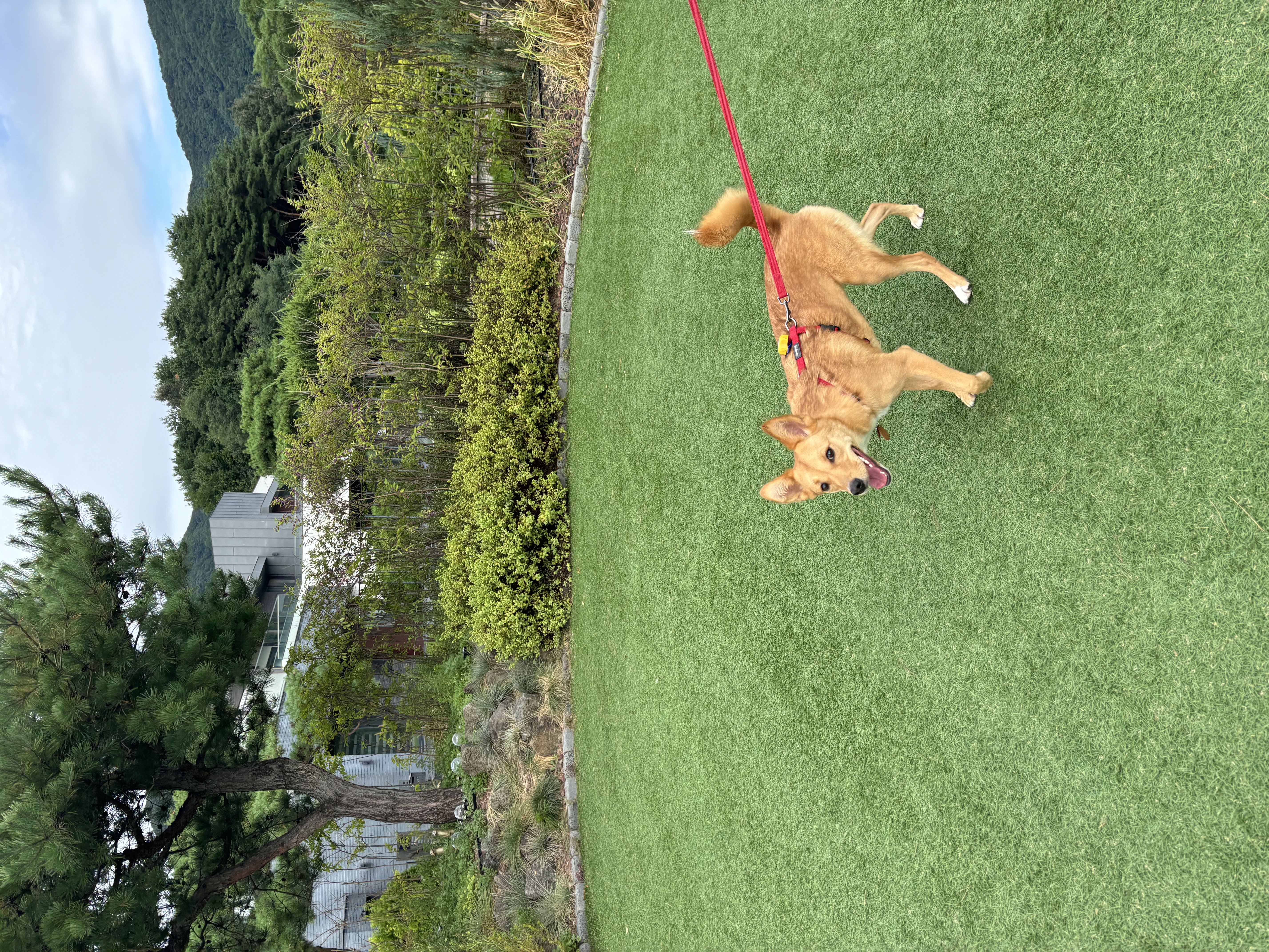 찌그(깜빛이) 1년 후기입니다