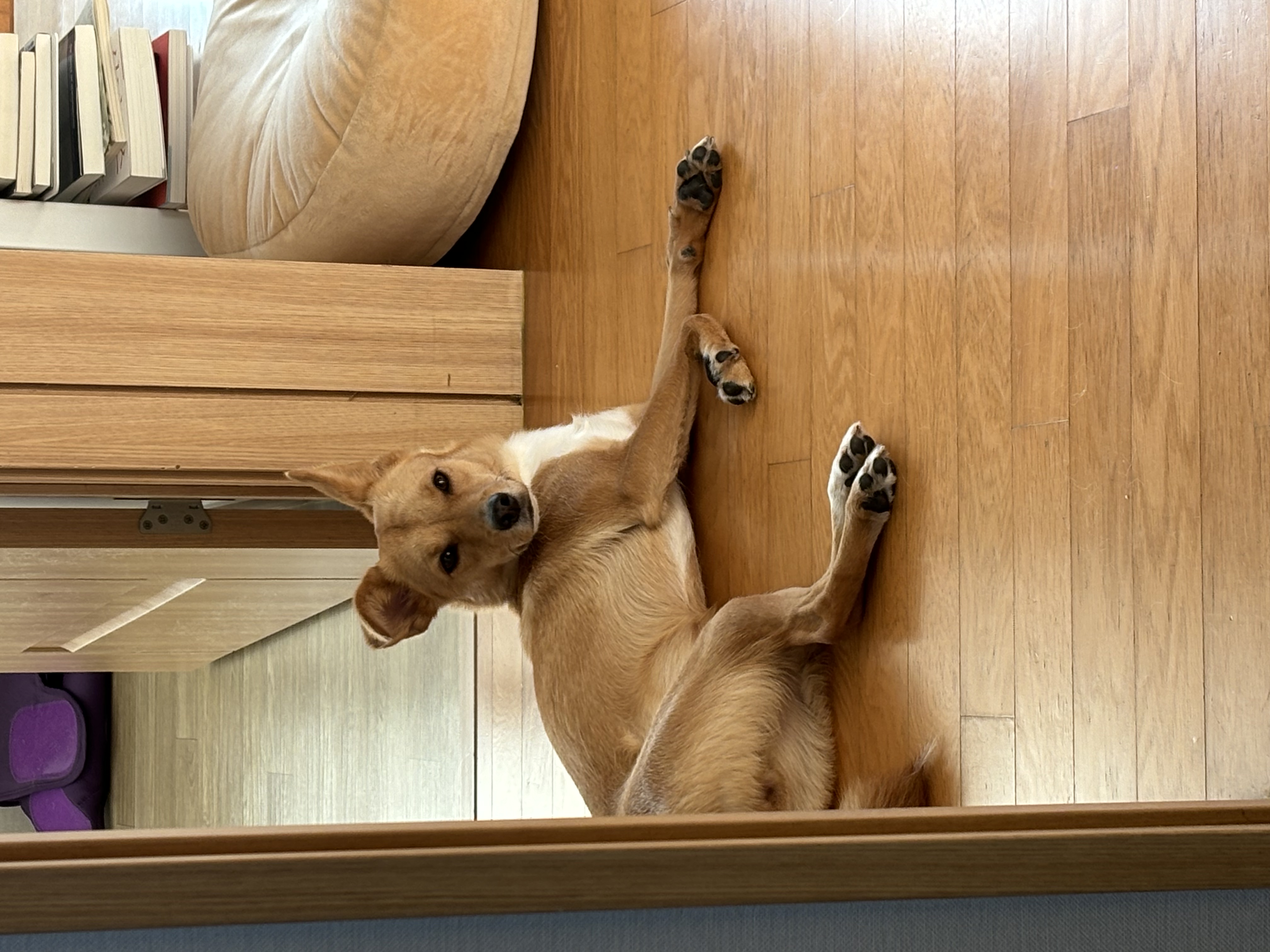 찌그(깜빛이) 1년 후기입니다