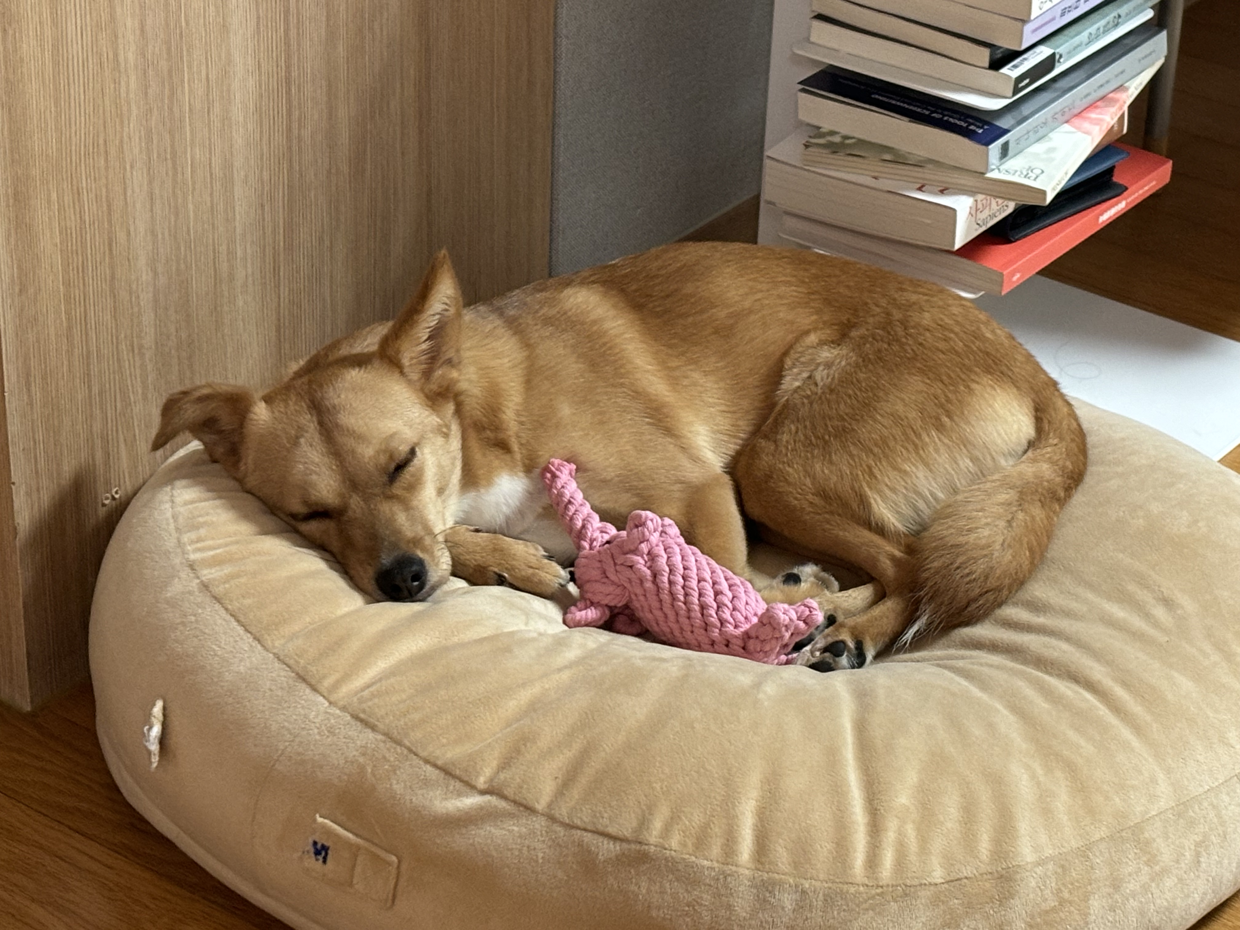 찌그(깜빛이) 1년 후기입니다