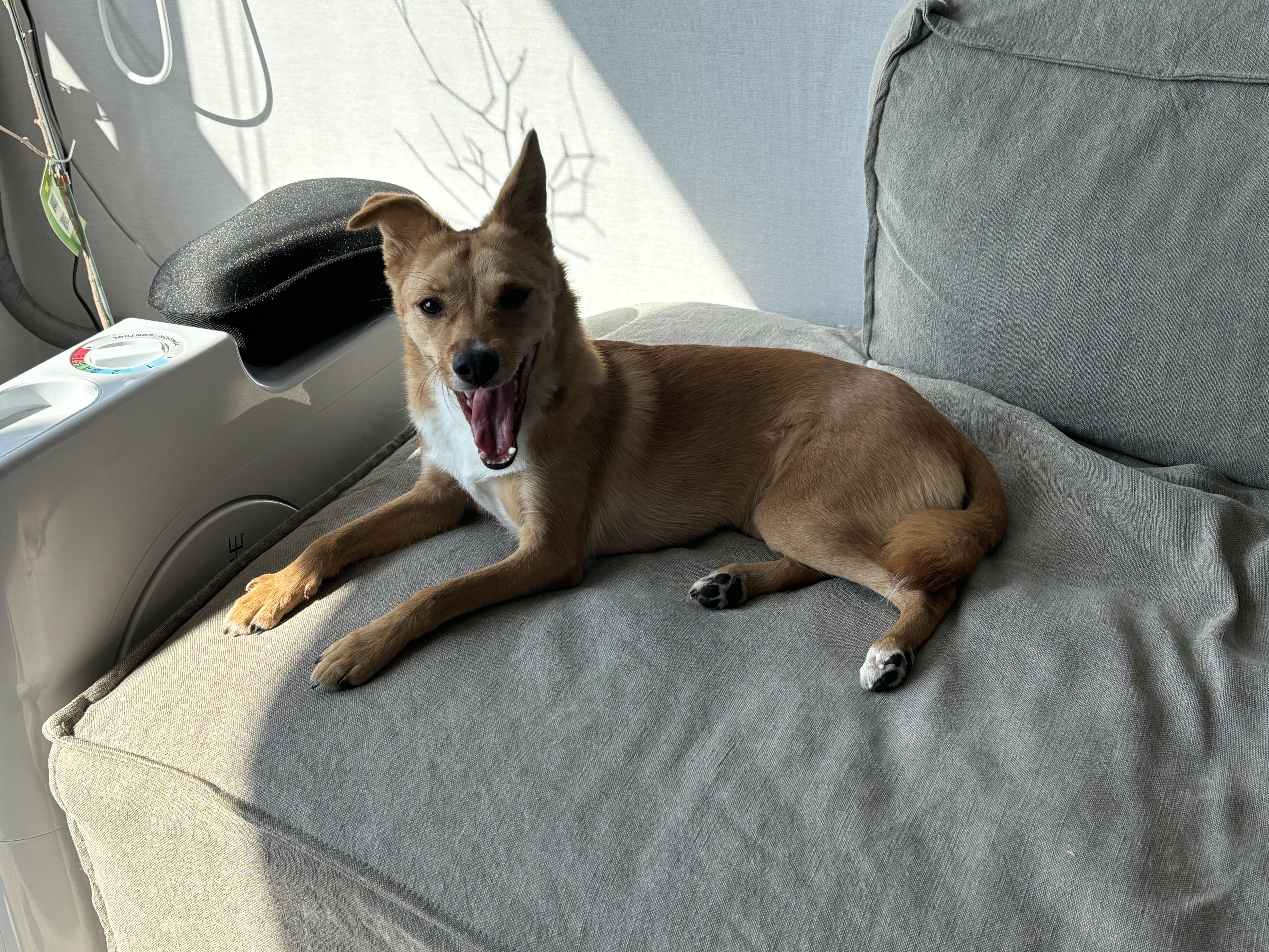 찌그(깜빛이) 1년 후기입니다