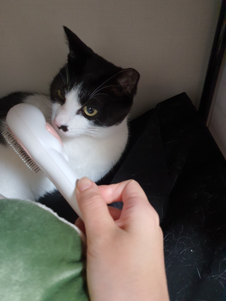 바담이 소식 올려요~