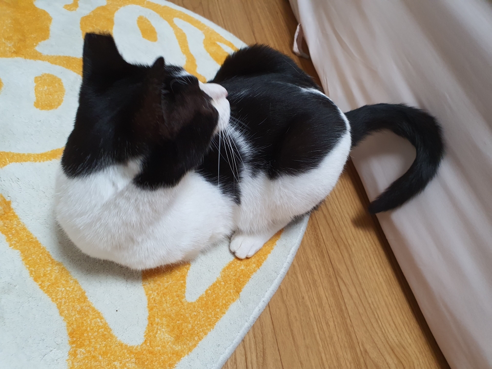 바담이 소식 올려요~