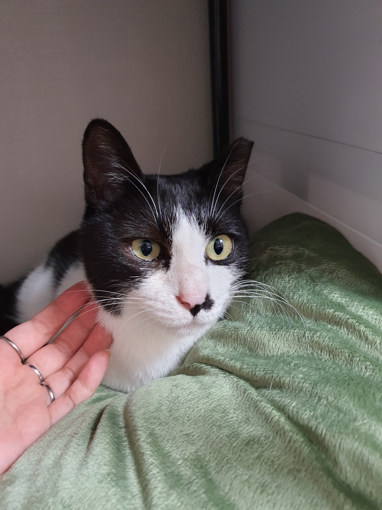 바담이 소식 올려요~