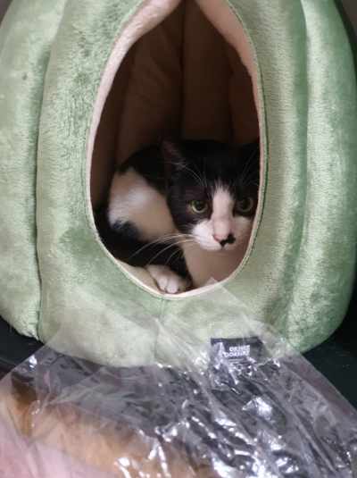 바담이 소식 올려요~