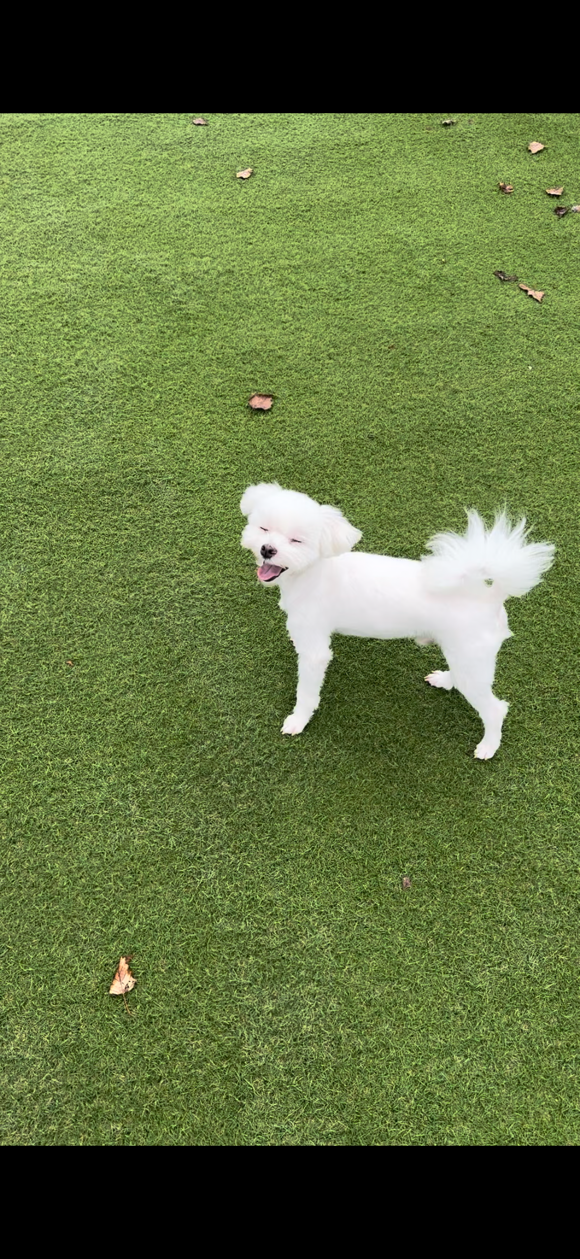 하코 임보 3개월차에요~