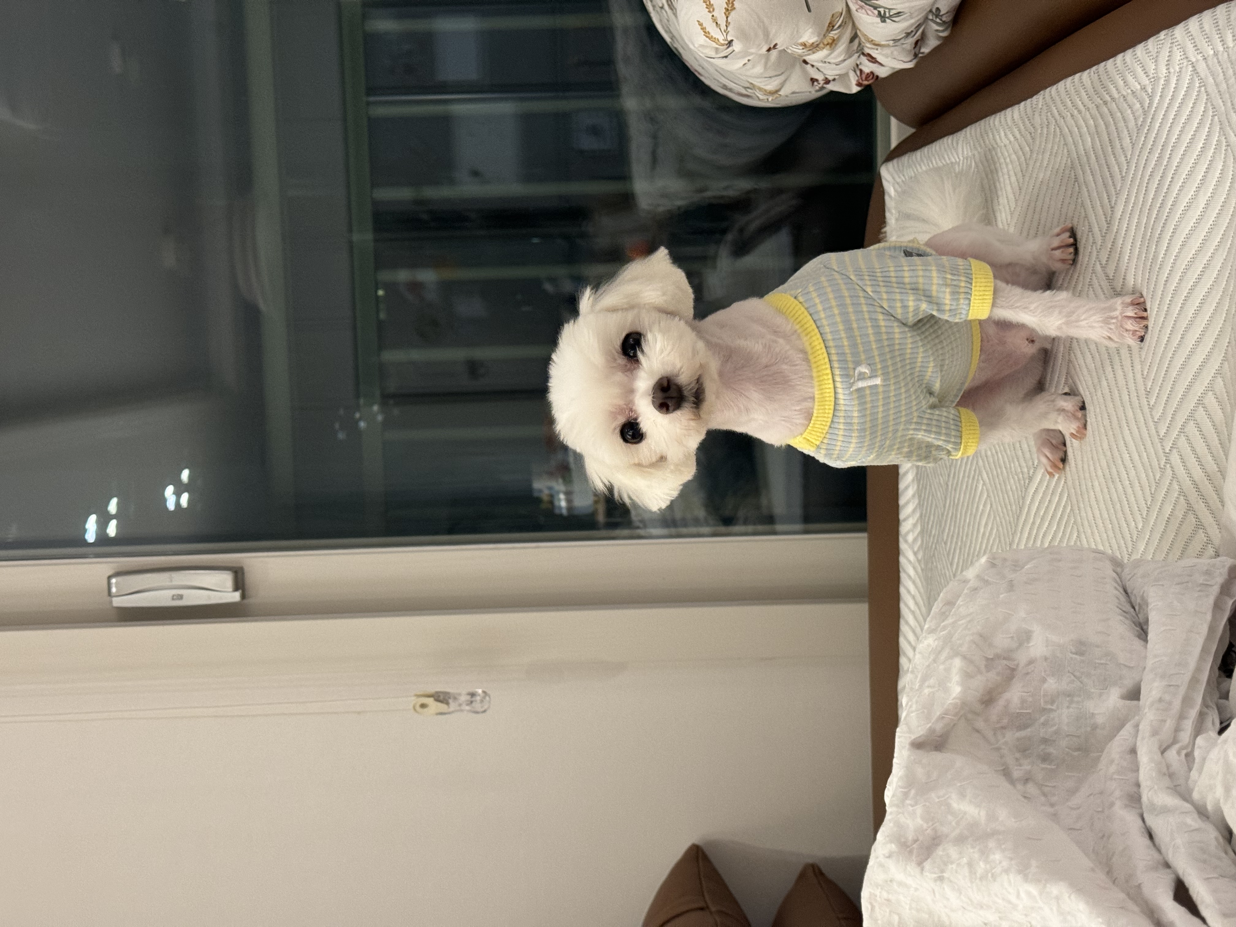 하코 임보 3개월차에요~