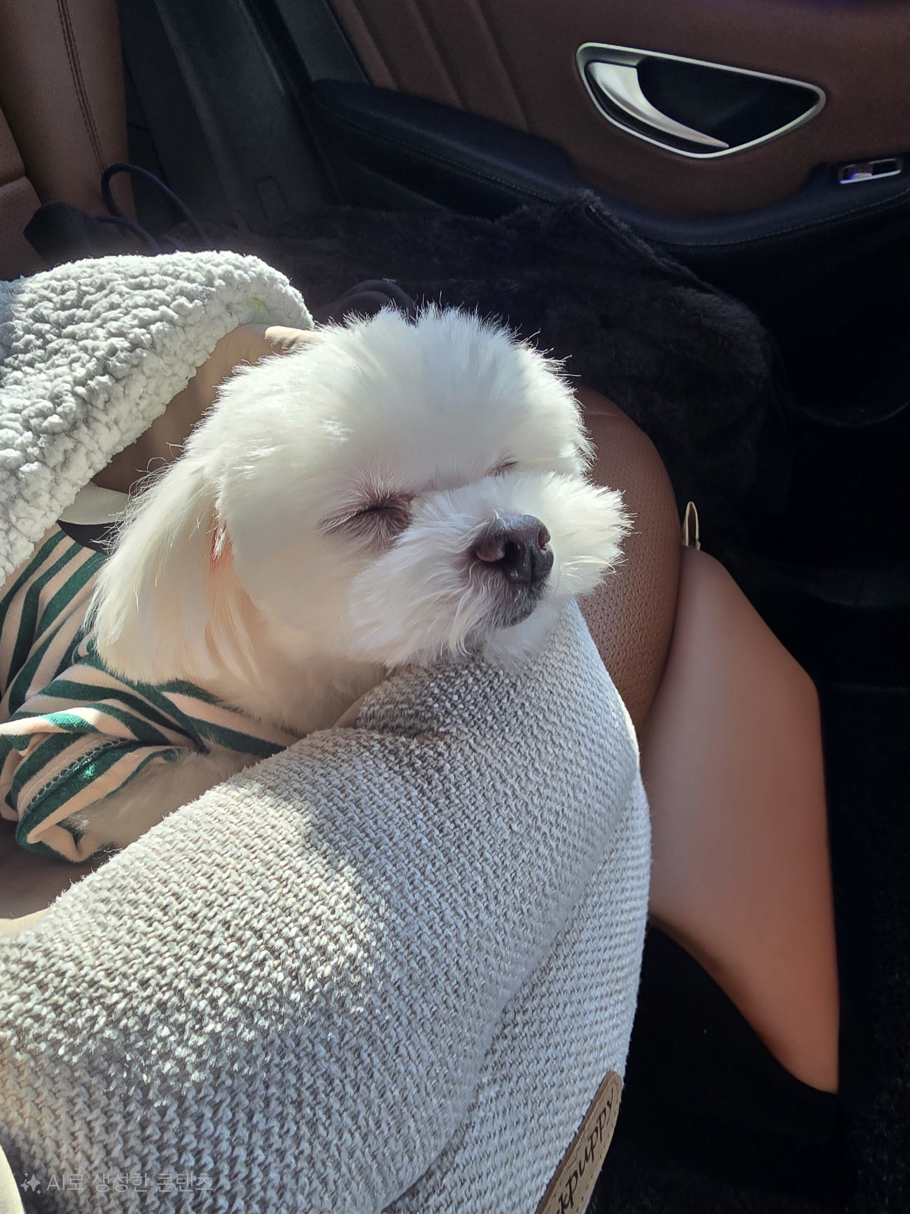 하코 임보 3개월차에요~