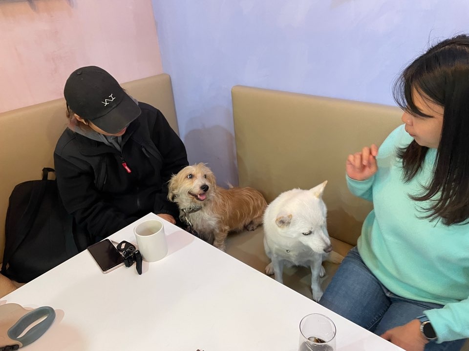 동자연에서 함께 구조된 엘리사, 엘리나(현재 하늘이)가 3년만에 만났어요. 