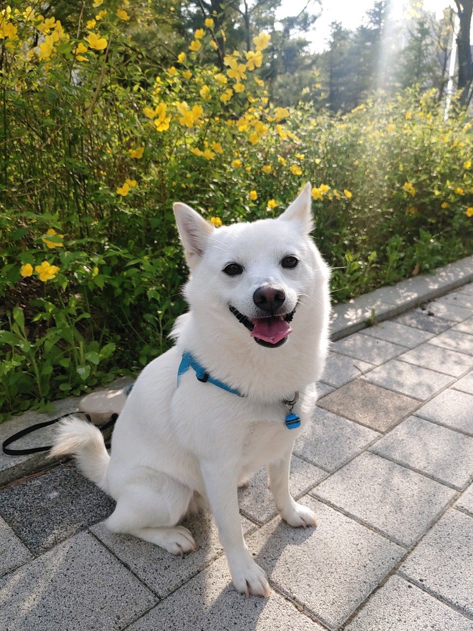 동자연에서 함께 구조된 엘리사, 엘리나(현재 하늘이)가 3년만에 만났어요. 