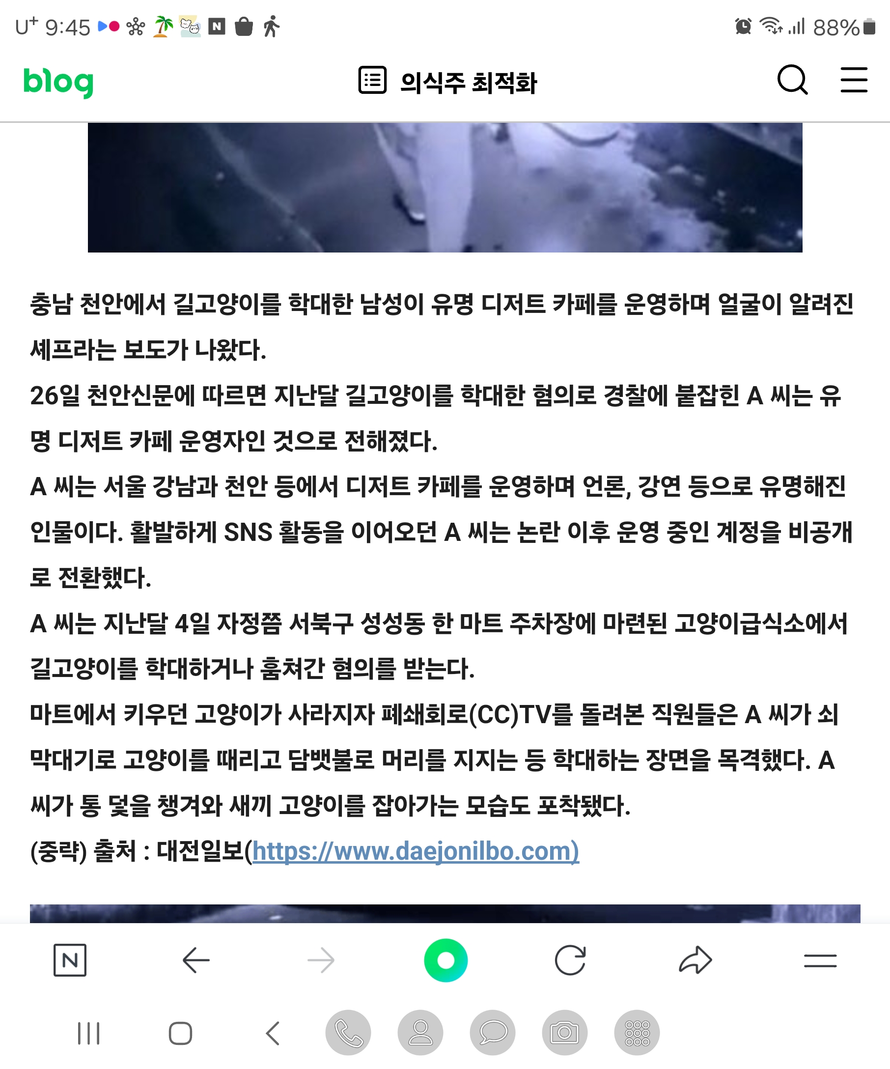 천안 고양이 학대