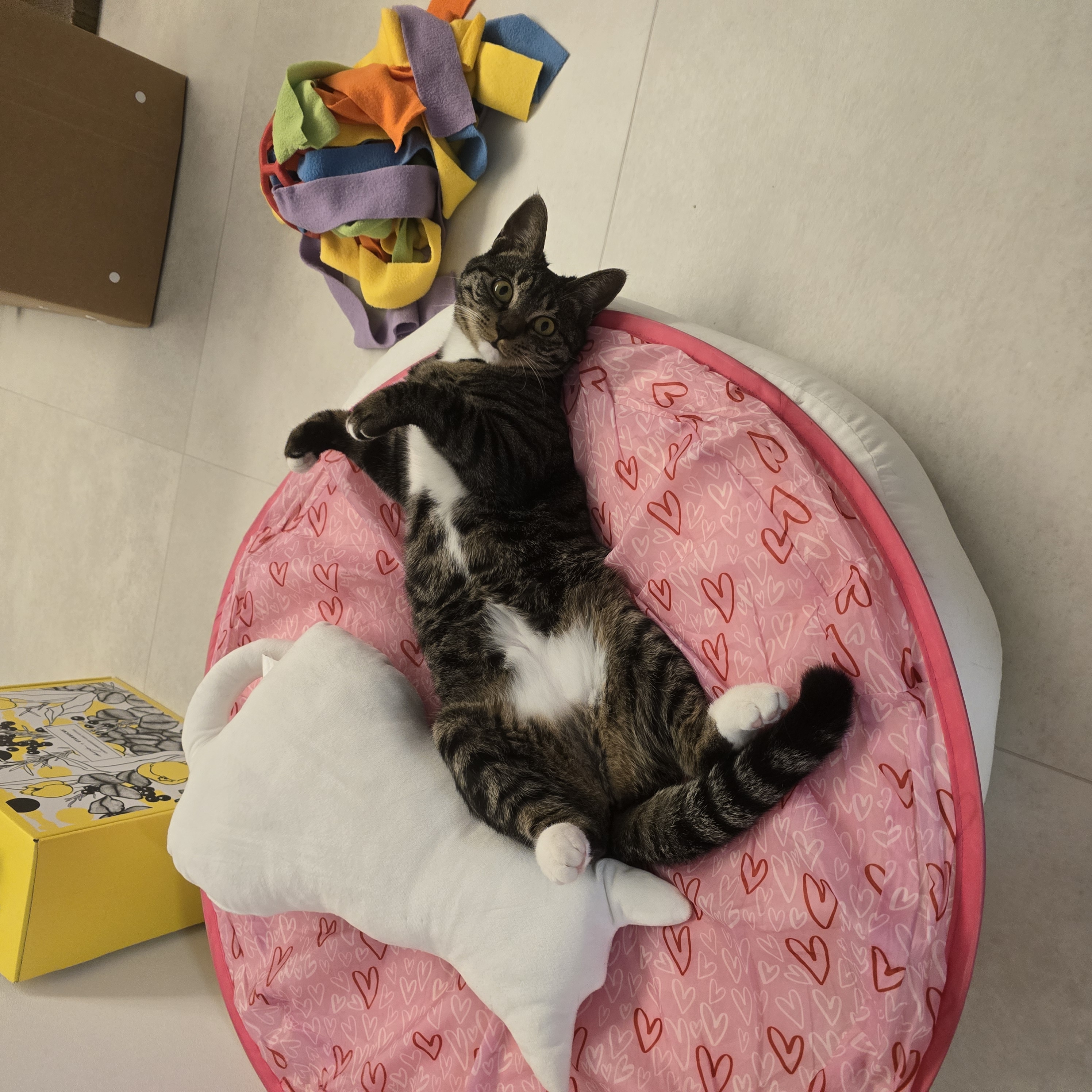 나린이 (현 다미)의 1년동안 사진일기