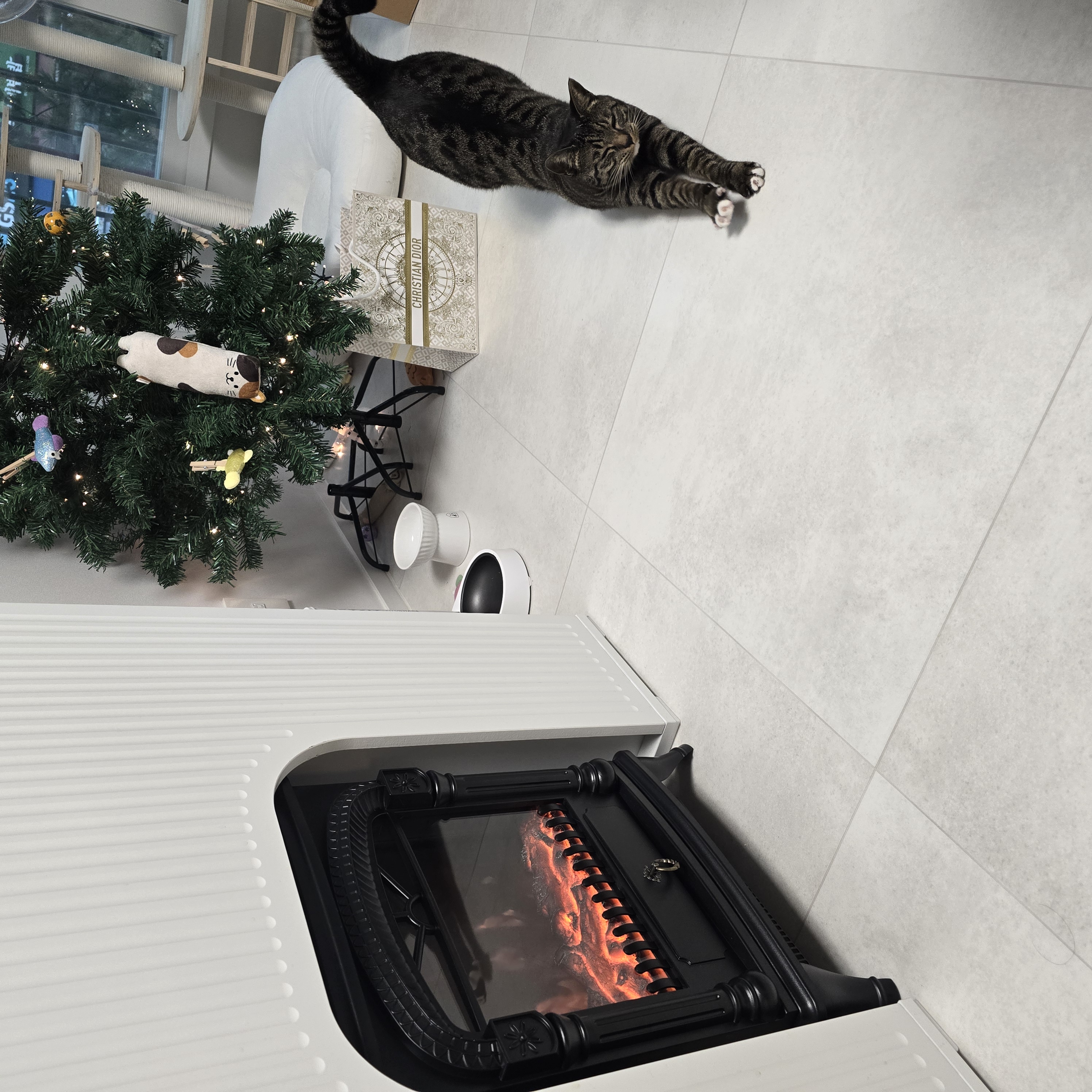 나린이 (현 다미)의 1년동안 사진일기