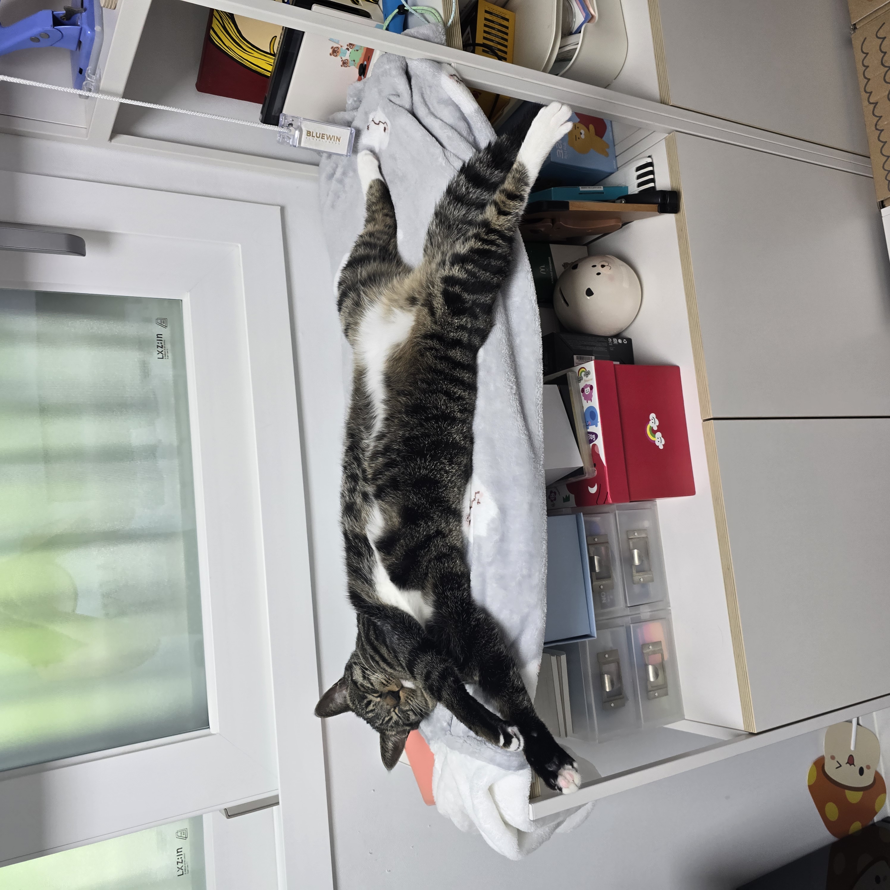 나린이 (현 다미)의 1년동안 사진일기