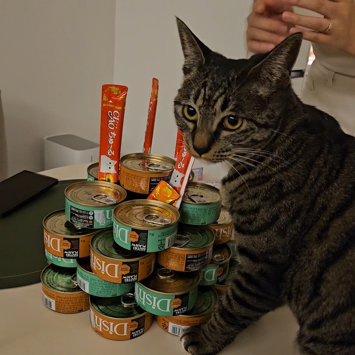 나린이 (현 다미)의 1년동안 사진일기