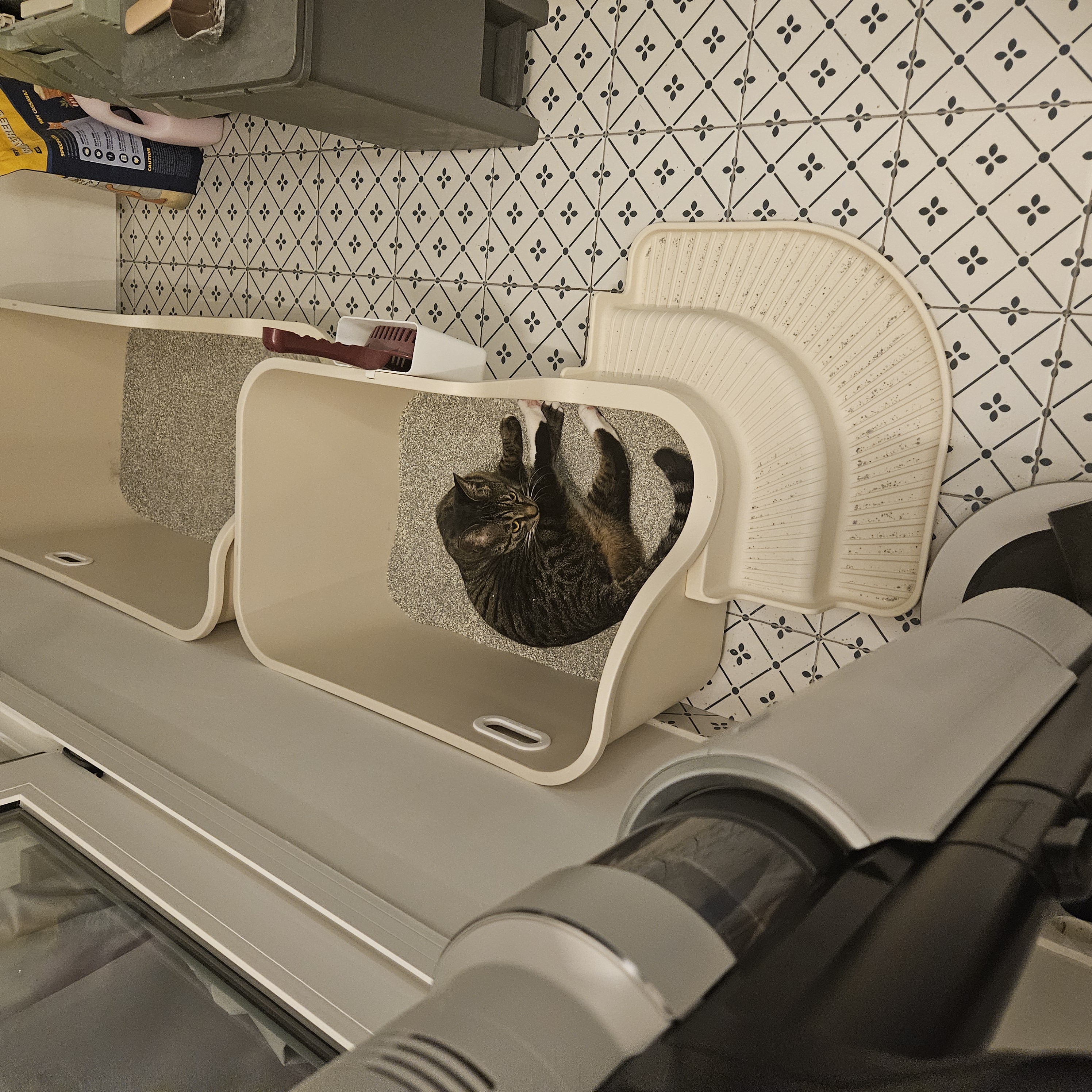 나린이 (현 다미)의 1년동안 사진일기