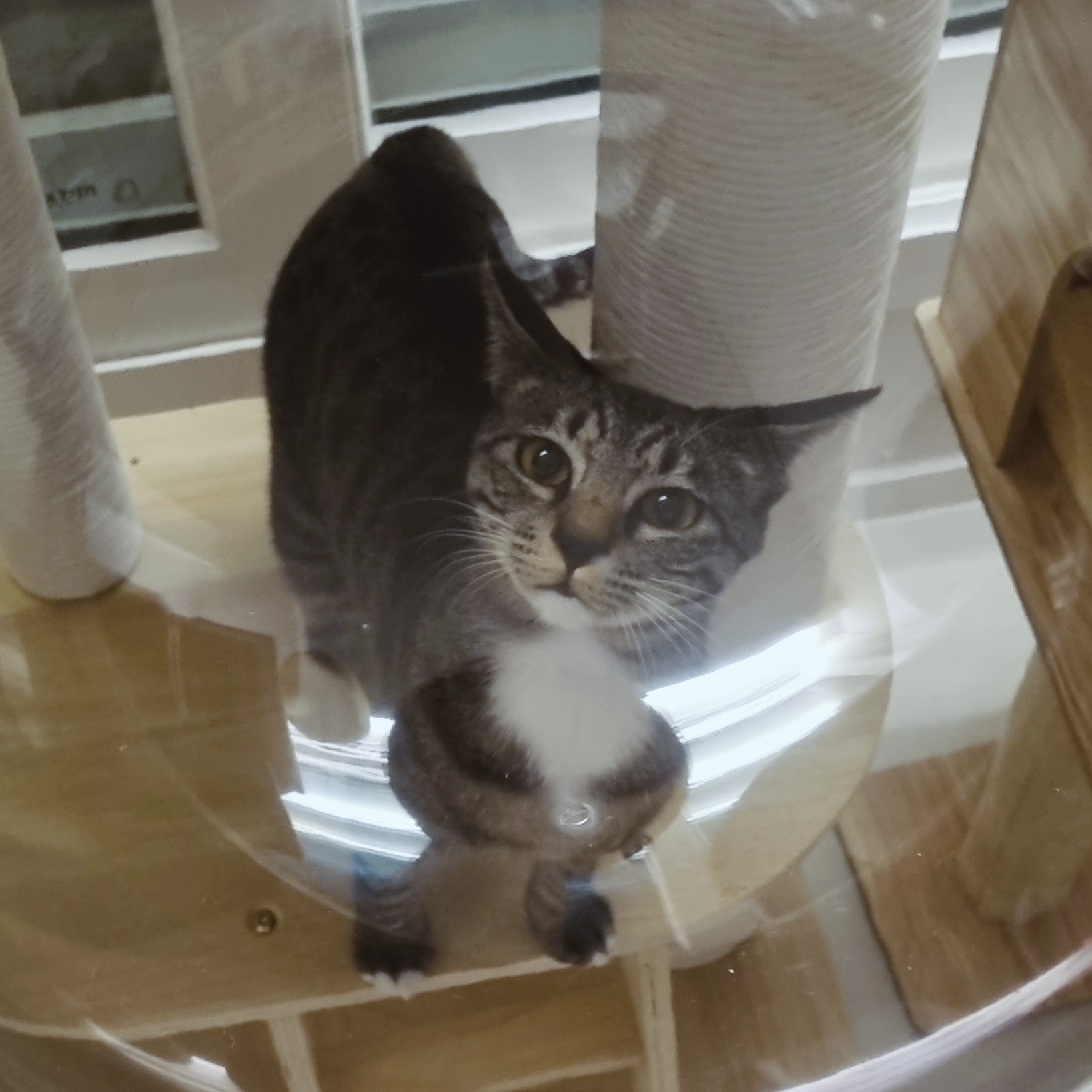 나린이 (현 다미)의 1년동안 사진일기