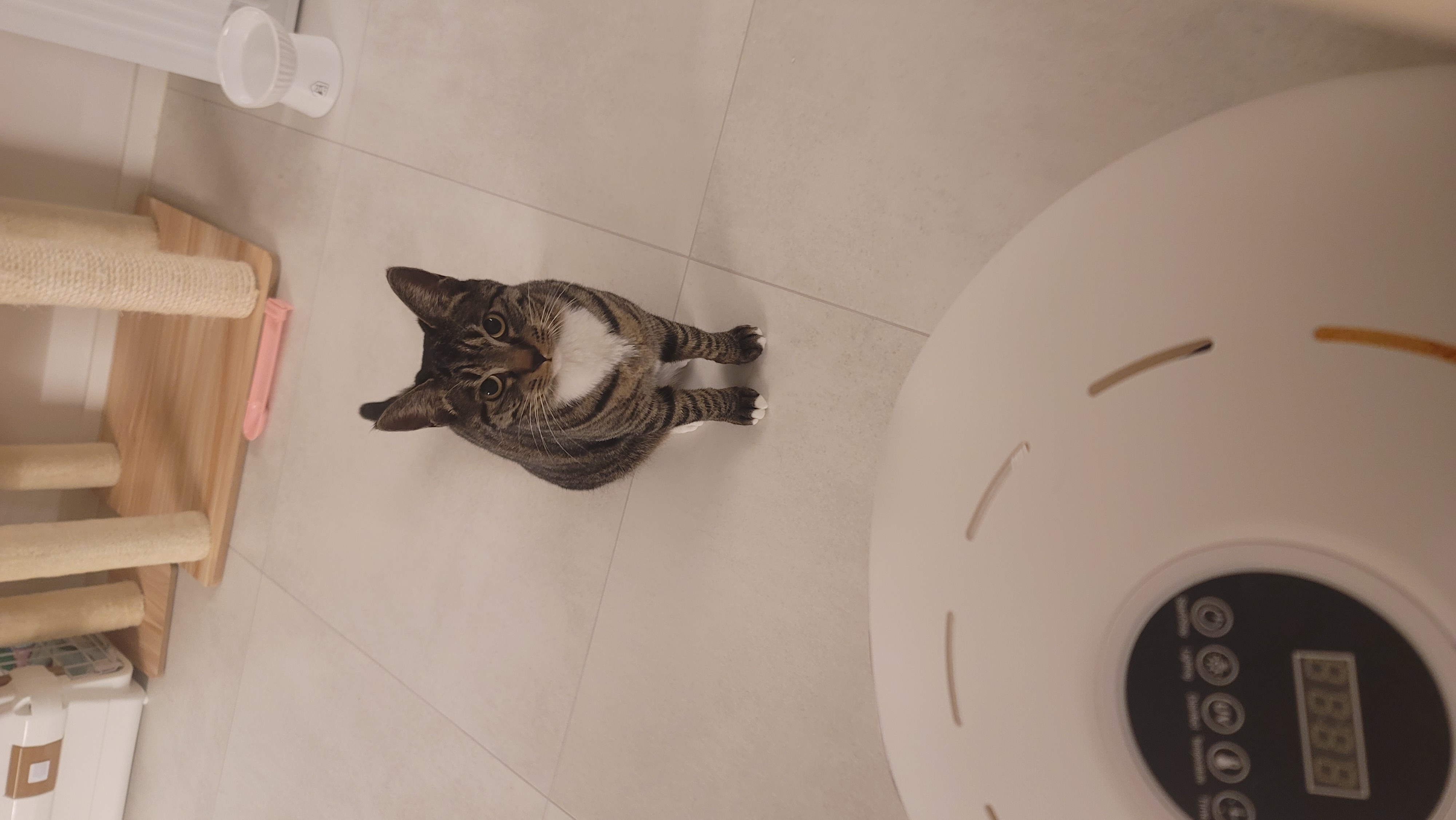 나린이 (현 다미)의 1년동안 사진일기