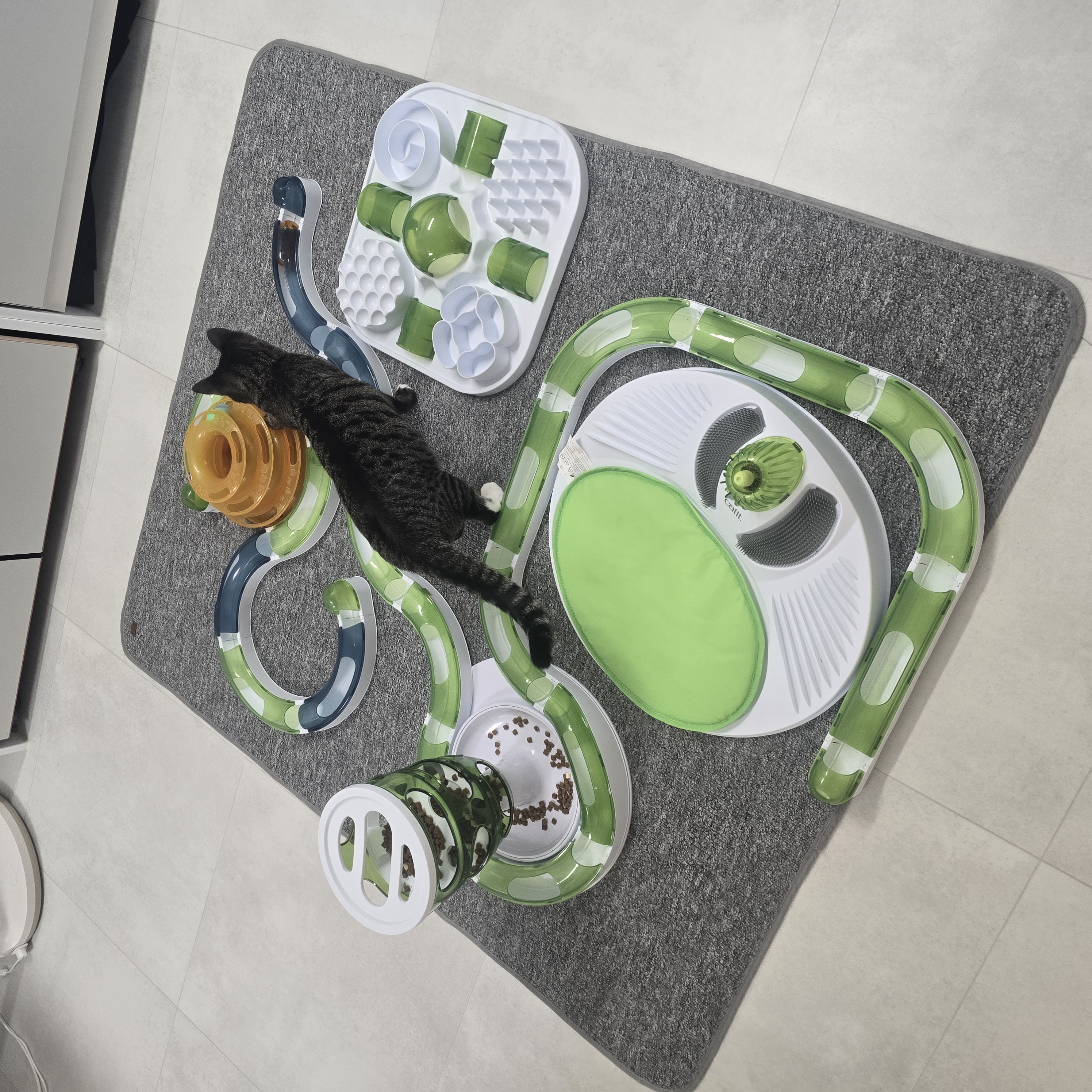 나린이 (현 다미)의 1년동안 사진일기