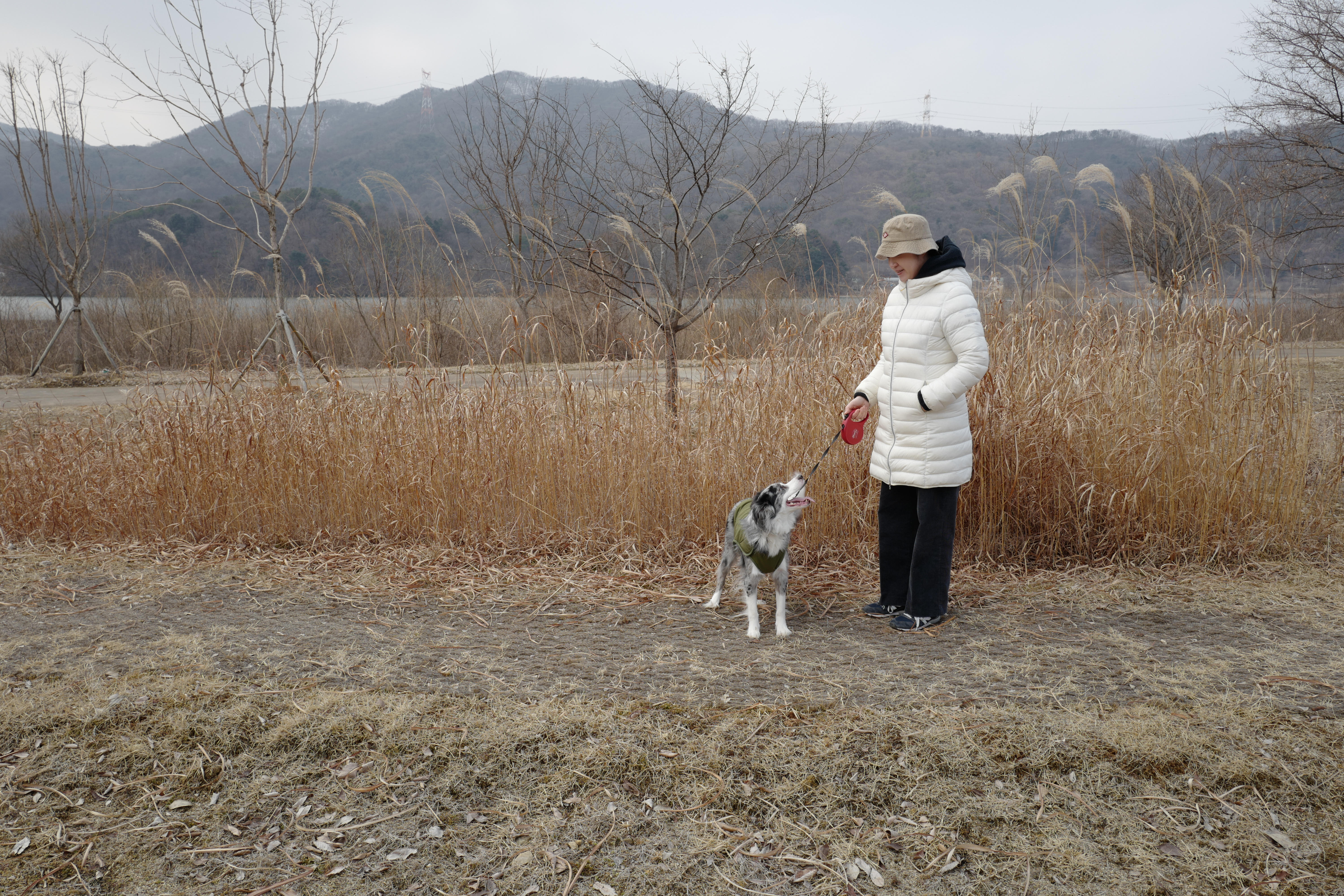 샤인이 입양 5년