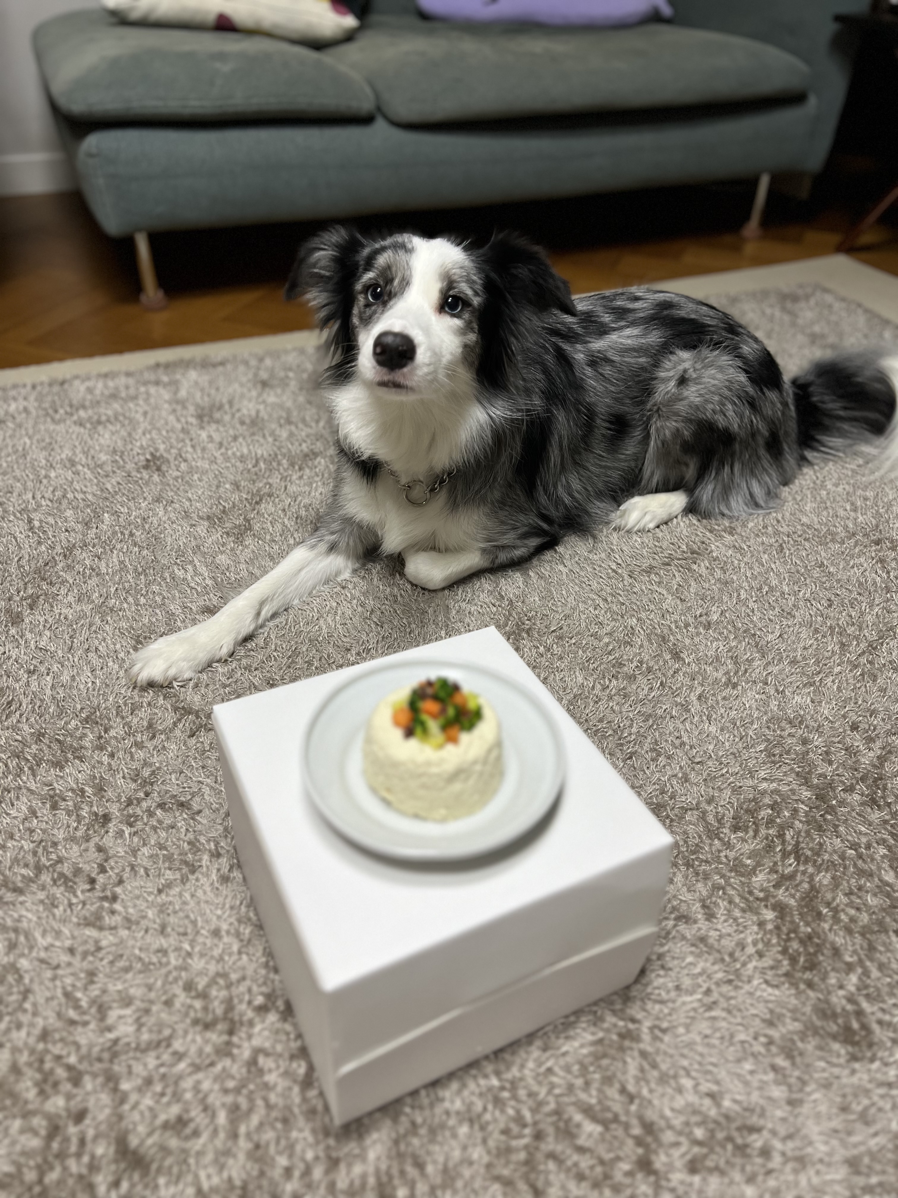 샤인이 입양 5년