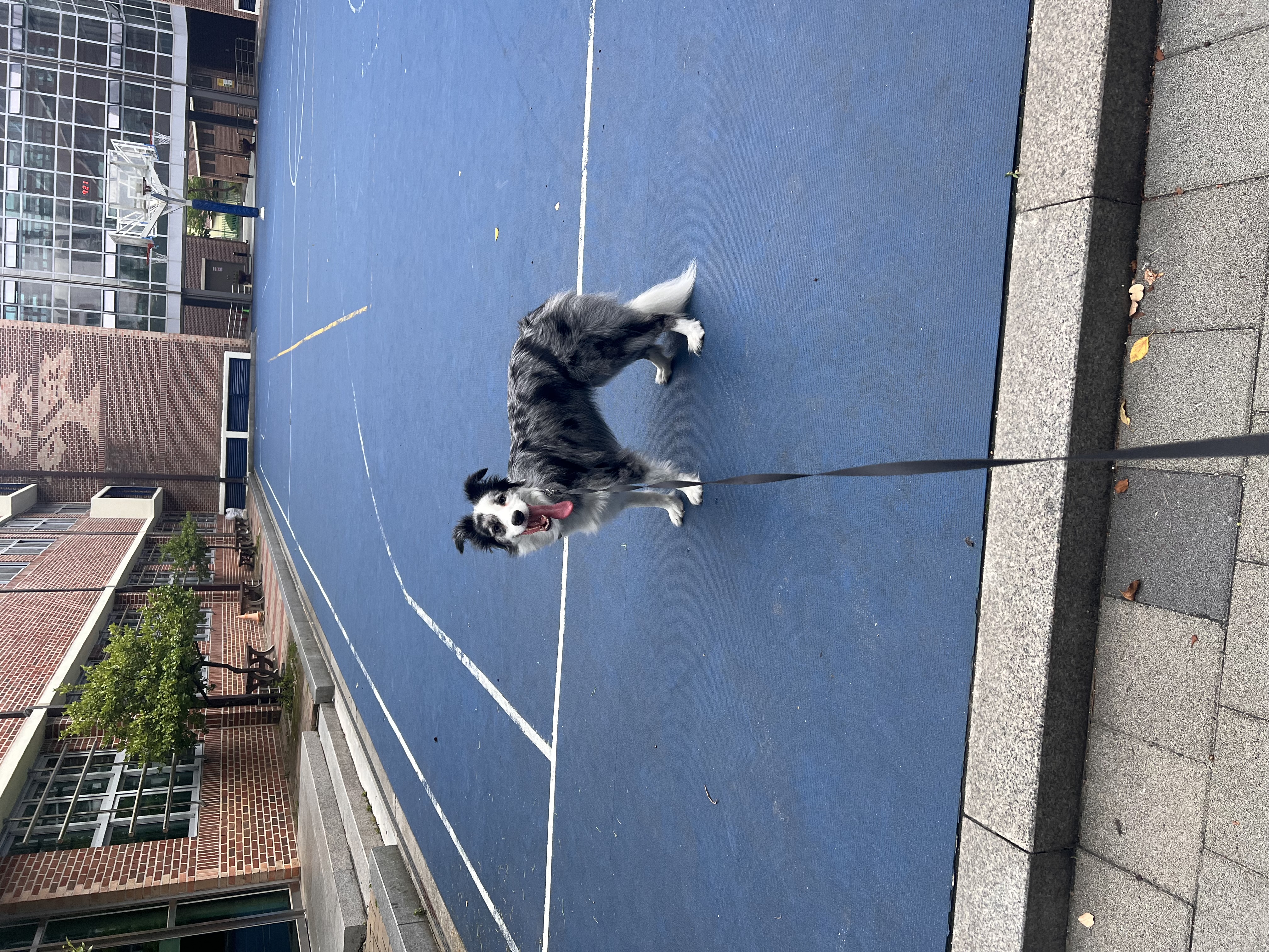 샤인이 입양 5년