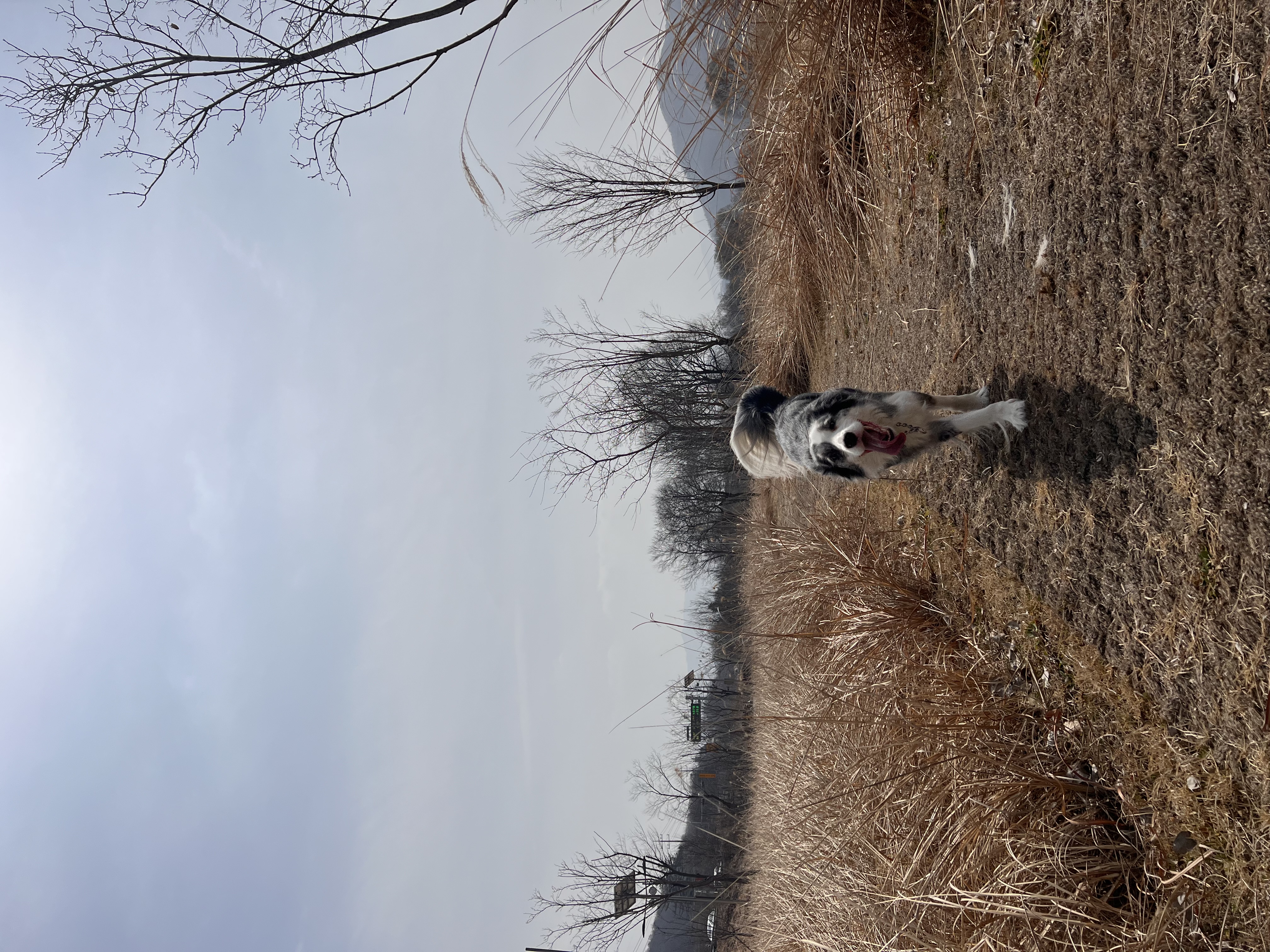 샤인이 입양 5년