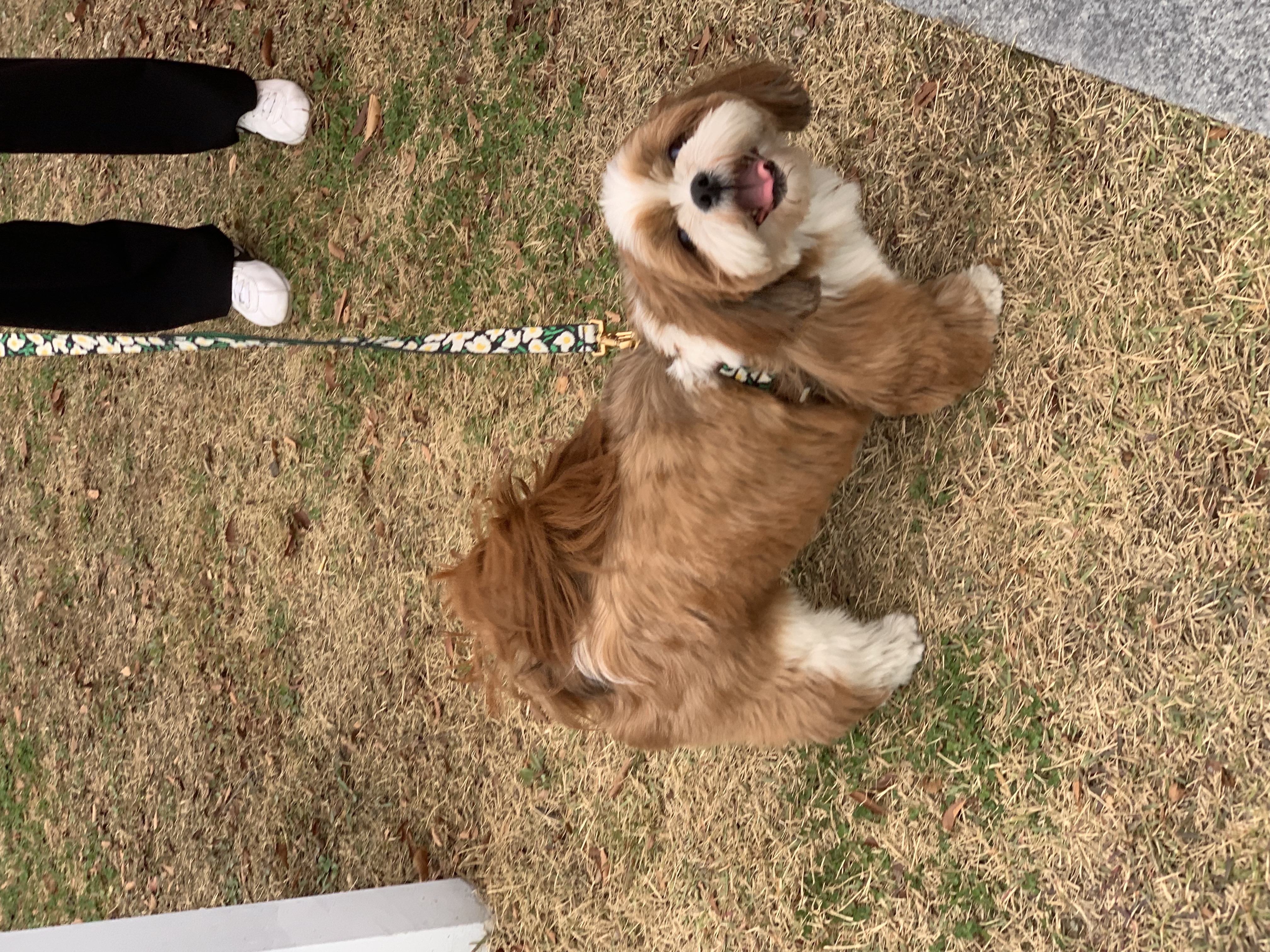 동동이(용자) 잘 지내고 있어요