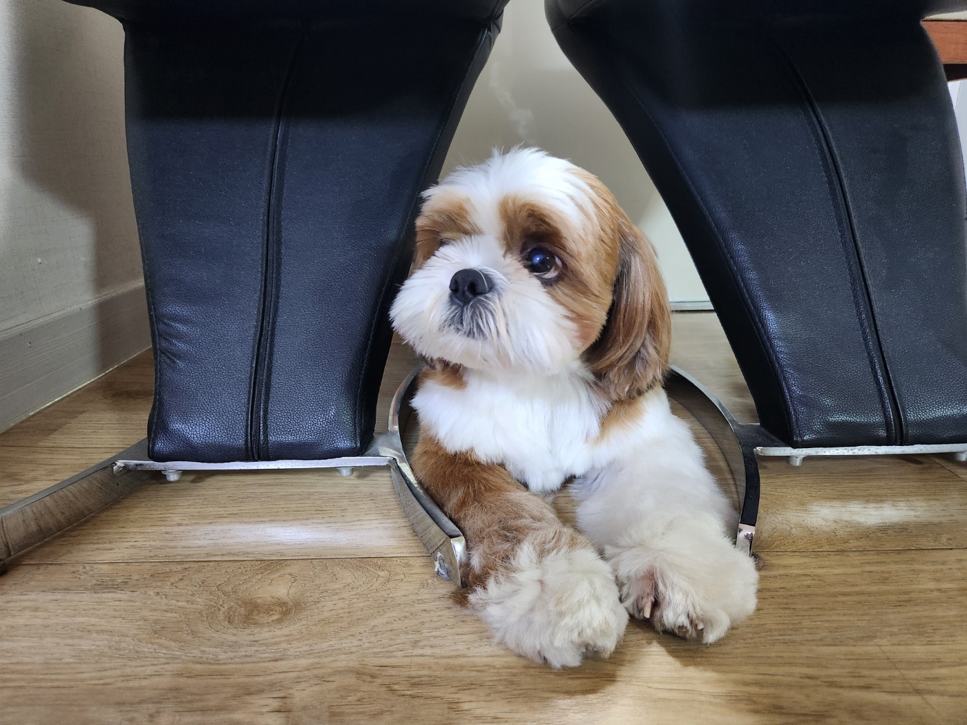 동동이(용자) 잘 지내고 있어요