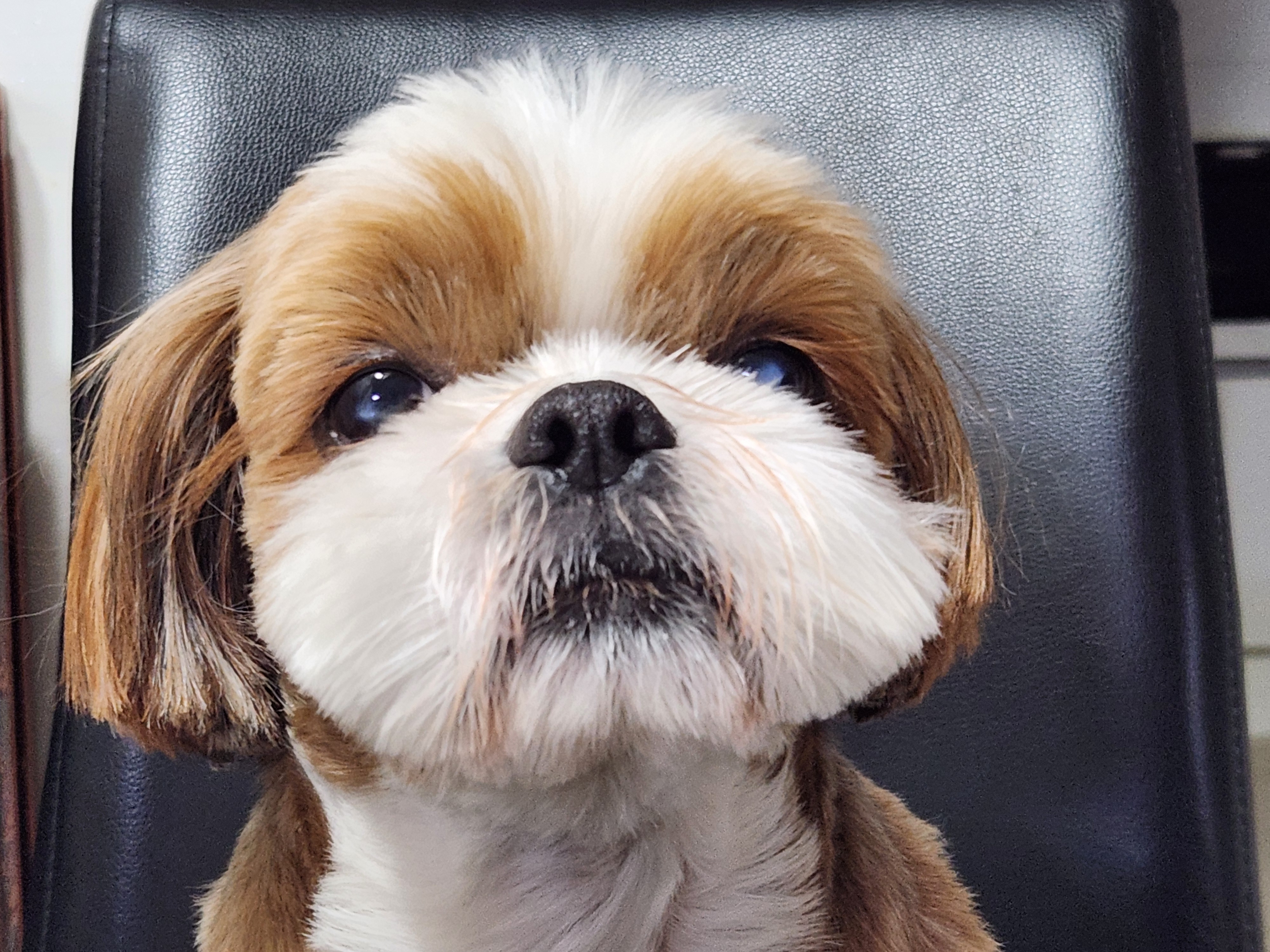 동동이(용자) 잘 지내고 있어요